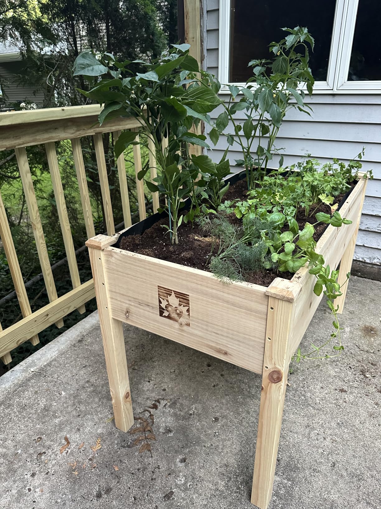 Maple99 Raised Garden Bed with Legs 48x24x30 - Natural Cedar Wood Elevated Planter Box with Bed Liner for Flowers, Veggies, Herbs - 200lb Capacity customer photo 1