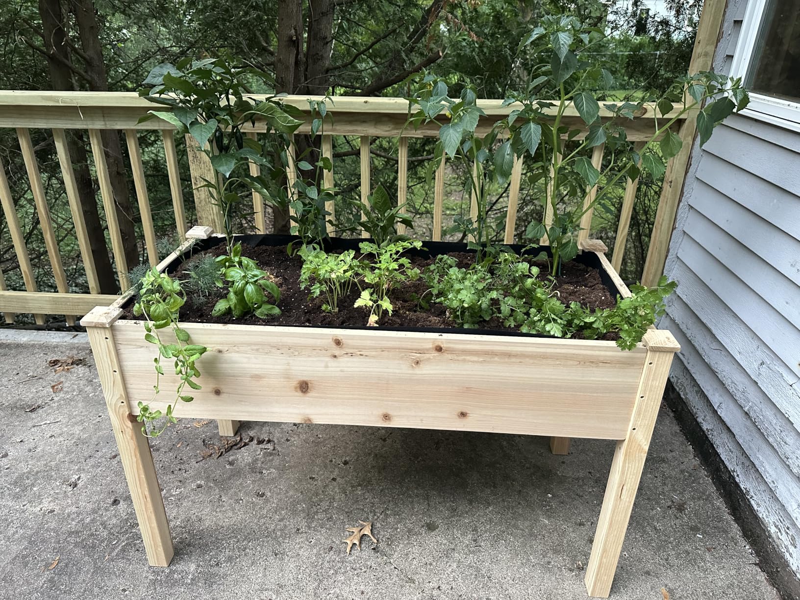 Maple99 Raised Garden Bed with Legs 48x24x30 - Natural Cedar Wood Elevated Planter Box with Bed Liner for Flowers, Veggies, Herbs - 200lb Capacity customer photo 2