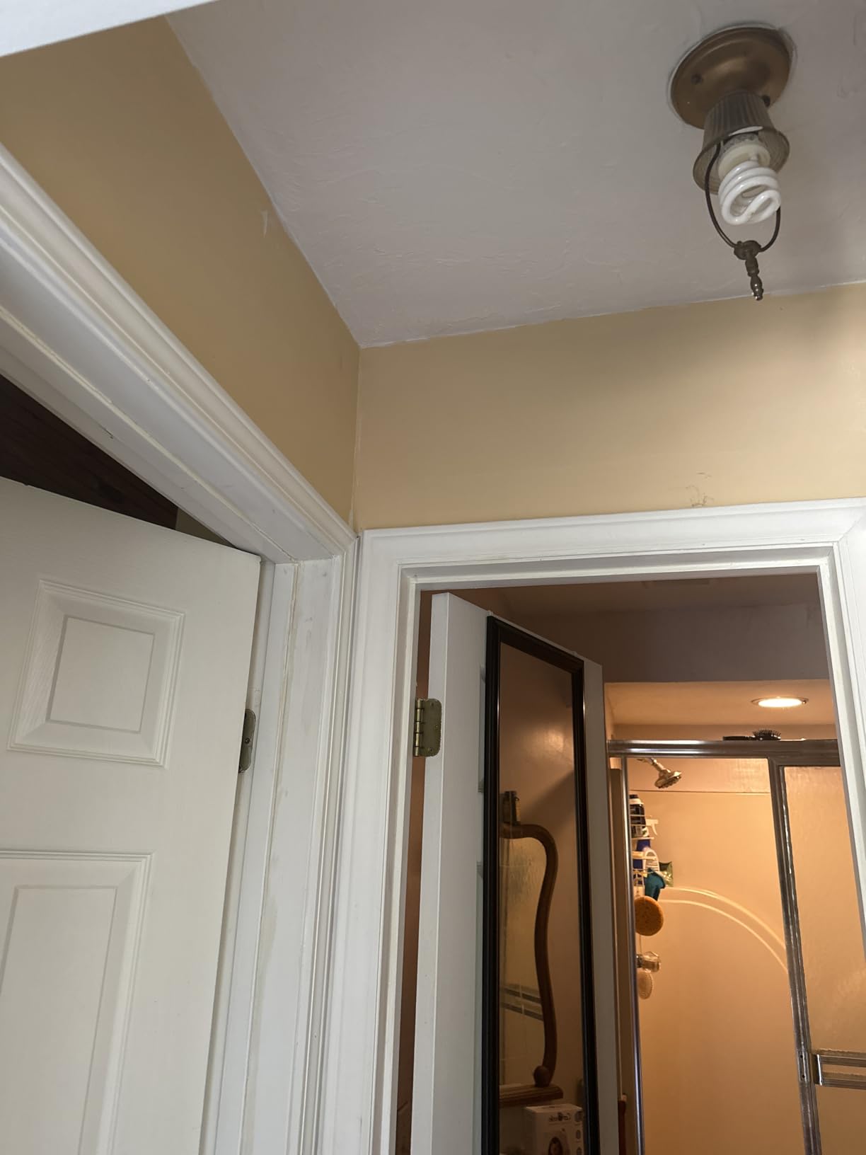 EVOLVE Ultimate White Paint & Primer in One, Eggshell White, 1 Gallon - Interior & Exterior, One-Coat Coverage, Excellent Hide, Low Odor, Low VOC, Washable Paint for Walls, Ceilings & Trim customer photo 2