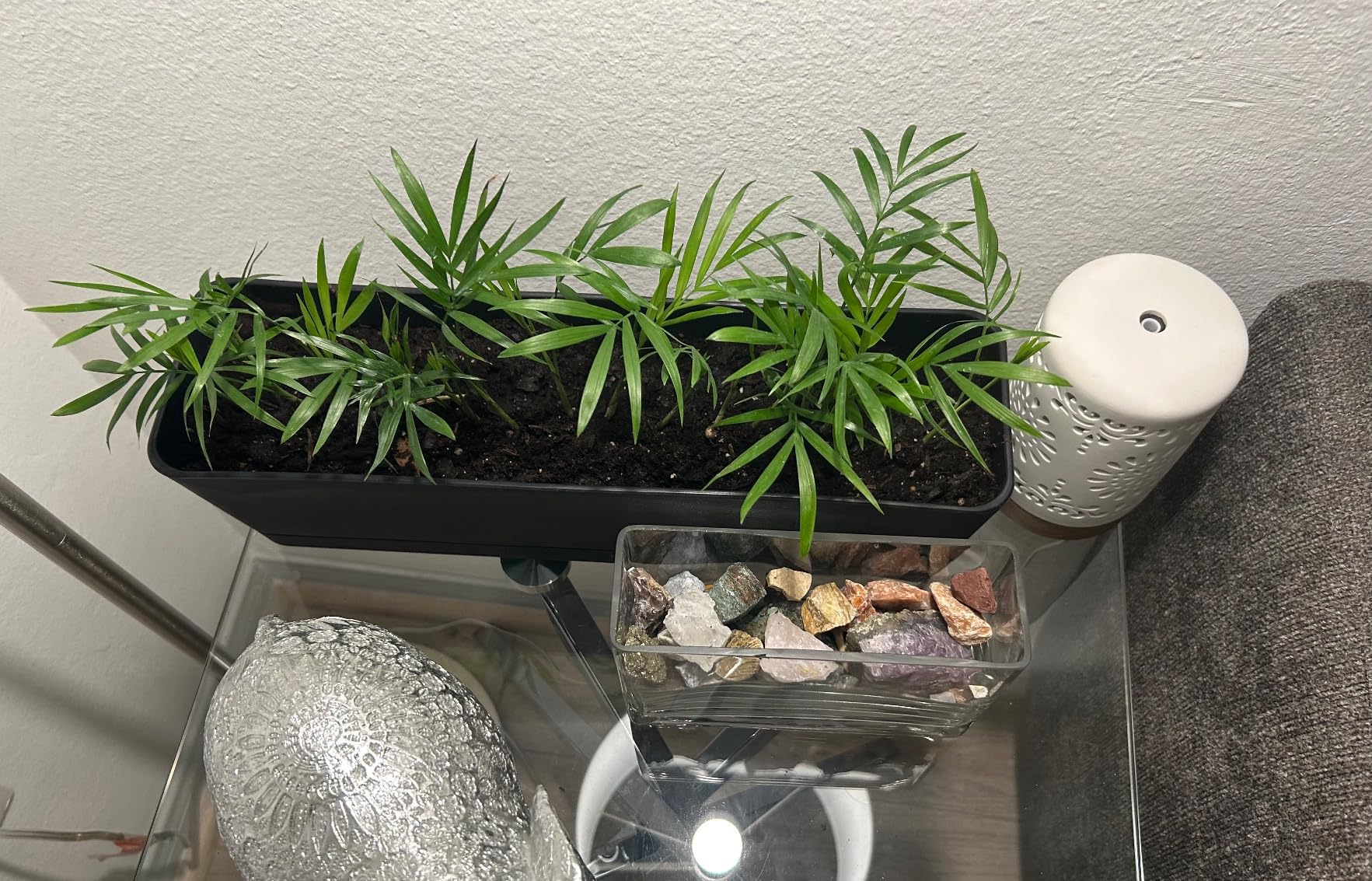 5 Pack Window Boxes Planters 16 Inches Rectangular Planter Herb Planter Boxes Large Plastic Flower Pots Rectangle Black Planter Outdoor and Indoor Succulent Window Sill Planter Self Watering Pots customer photo 1