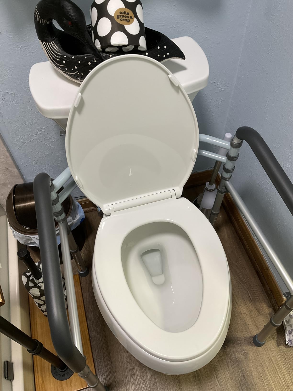 Lianjindun Toilet Safety Rails (350 lb), Adjustable Toilet Frame for Elderly, Seniors, Handicap & Disabled, Foldable Handicap Toilet Handles Fit Any Toilets (Gray) customer photo 2