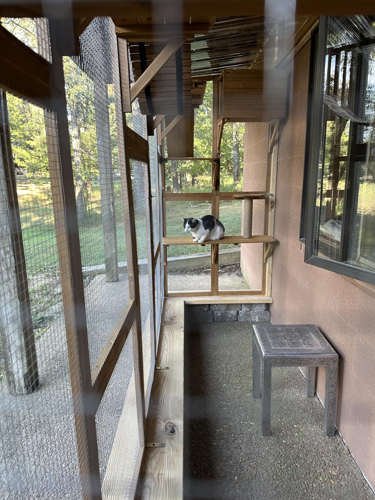 PawHut Catio Outdoor Cat Enclosure Window, 118