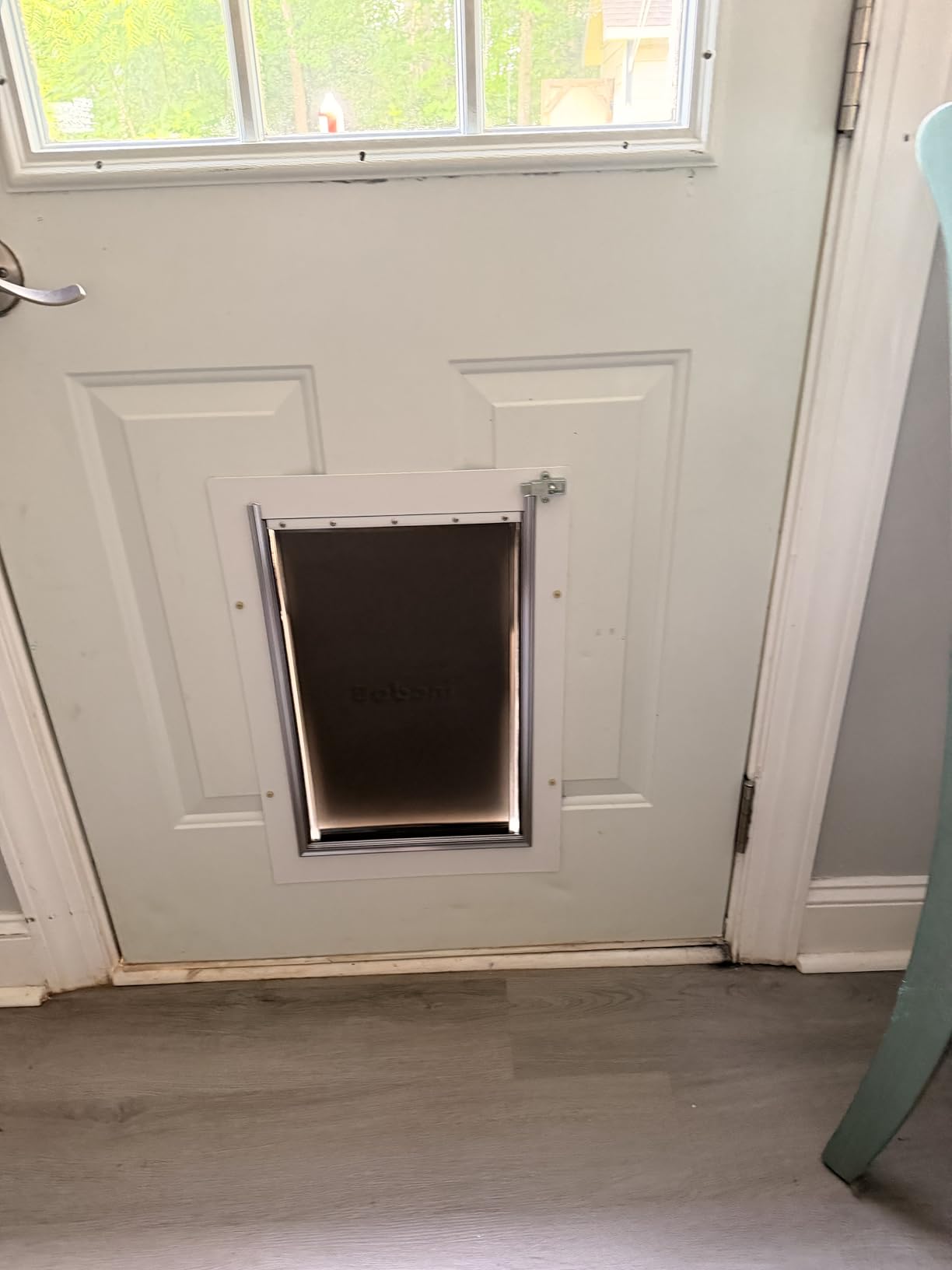 Baboni Dog Door for Door, Metal Frame, Large | Pets Up to 100 Lb, for Interior and Exterior Doors, Aluminum Lock, Metal Panel, Strong Magnetic Flaps customer photo 1