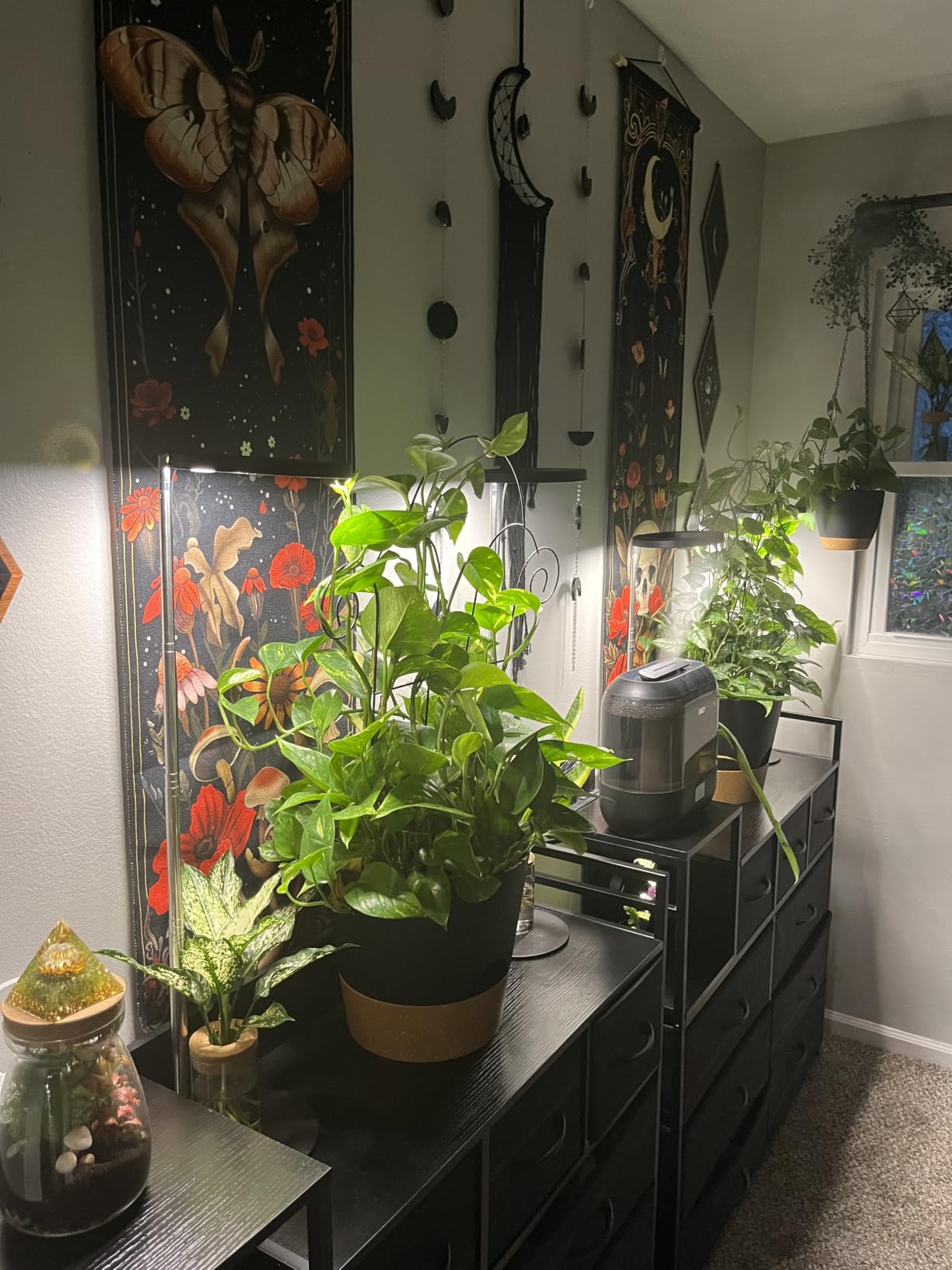 YNNICO Indoor Self Watering Planters with Drainage Holes and Saucers, 8/7/6.5/6/5.5/5 Inches, Black, 6 Pots customer photo 1