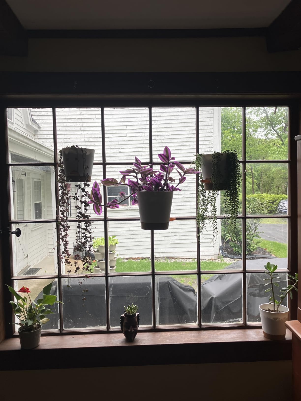 YNNICO Indoor Self Watering Planters with Drainage Holes and Saucers, 8/7/6.5/6/5.5/5 Inches, Black, 6 Pots customer photo 2