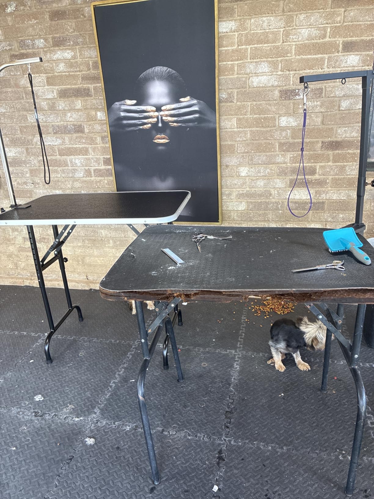 LEIBOU 45'' Height Adjustable(23''~33.8'') and Foldable Pet Dog Grooming Table Heavy Duty Iron Frame with H-Shape Grooming Arm & Noose, Maximum Capacity Up to 260lbs, Black customer photo 2