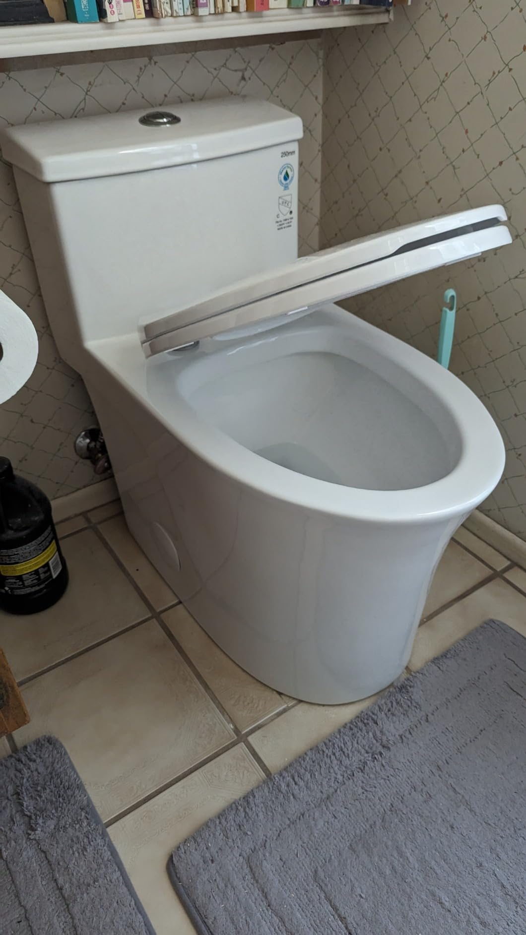 HOROW T0338W One Piece Toilet 10