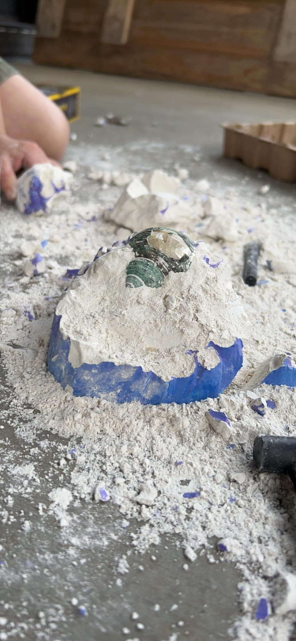 PIBEX Ocean Fossil Dig Kit, 20+ Real Shells & Seasnails, Sea Creature Toy | Sea Life Excavation, Jumbo Coral Reef Brick, Marine Biology Science Kit, Educational Gift for Boys & Girls Ages 6-12 customer photo 2
