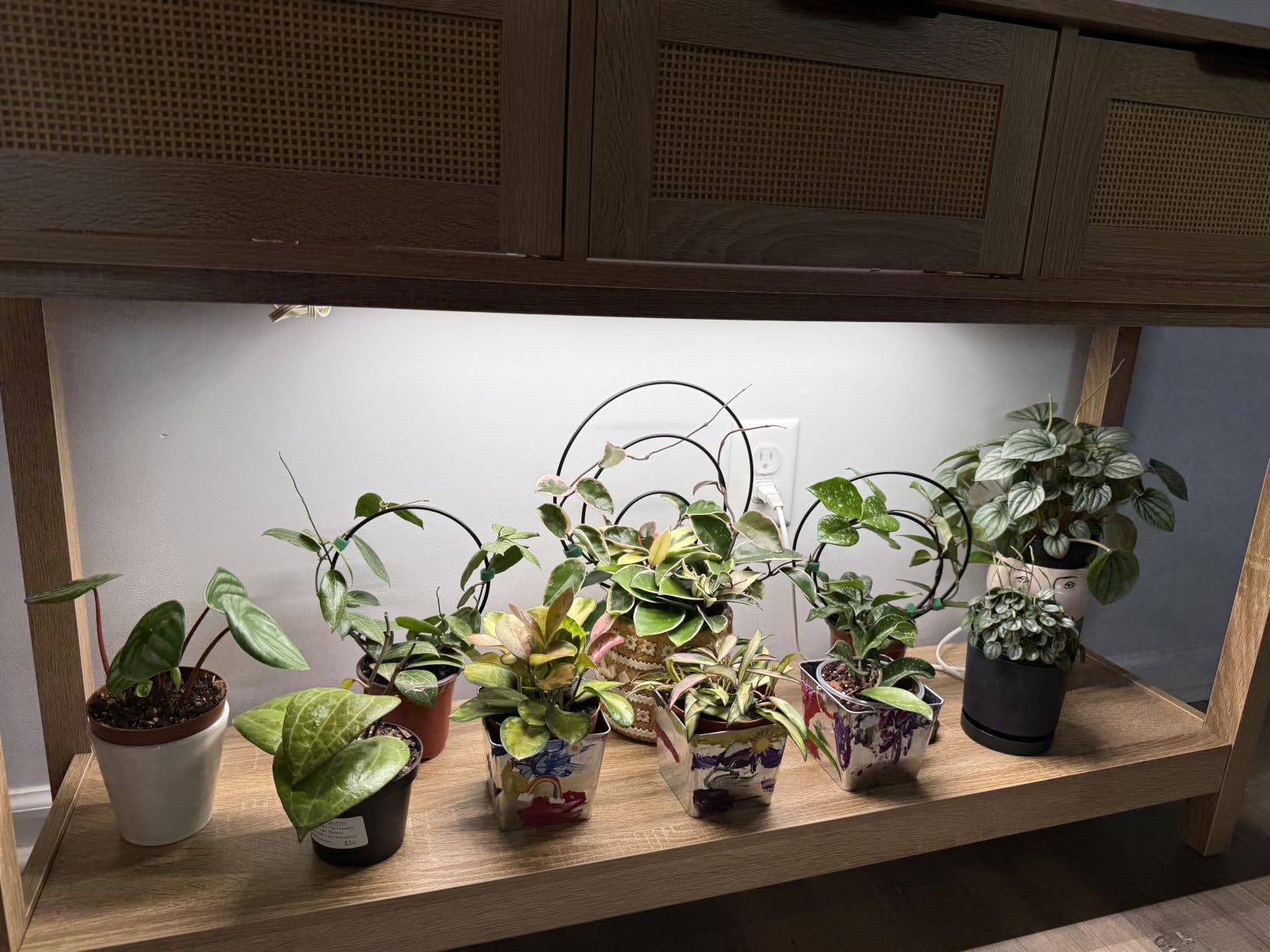Barrina T5 Grow Lights for Indoor Plants, Full Spectrum Grow Light, 1ft LED Plant Light, Black Cover LED Grow Light Strips, 3 Mounting Modes, Magnetic Installation, Plug and Play, 5000K, 4 Packs customer photo 1