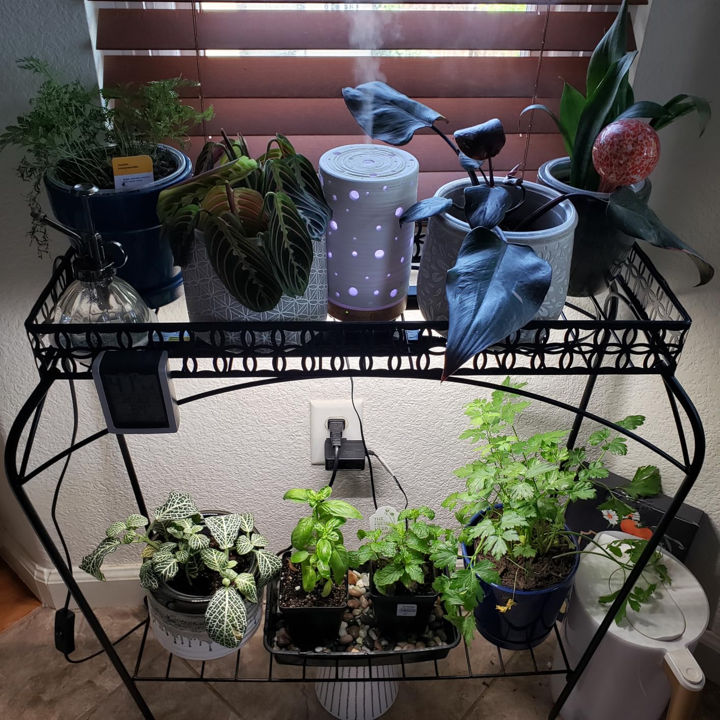 Barrina T5 Grow Lights for Indoor Plants, Full Spectrum Grow Light, 1ft LED Plant Light, Black Cover LED Grow Light Strips, 3 Mounting Modes, Magnetic Installation, Plug and Play, 5000K, 4 Packs customer photo 2