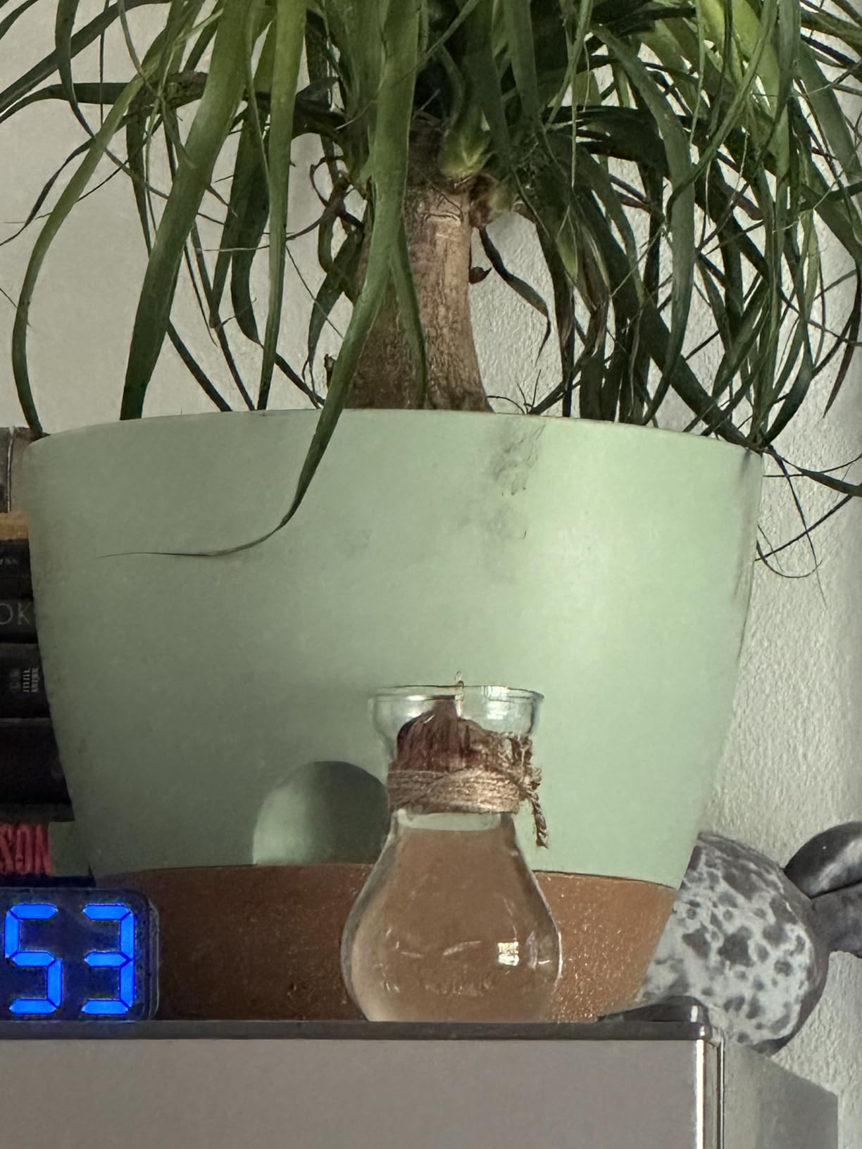 TYMENSH Plant Pots 12/10/9 Inch Set of 3, Self Watering Planters with Drainage Holes and Water Reservoir, White customer photo 1