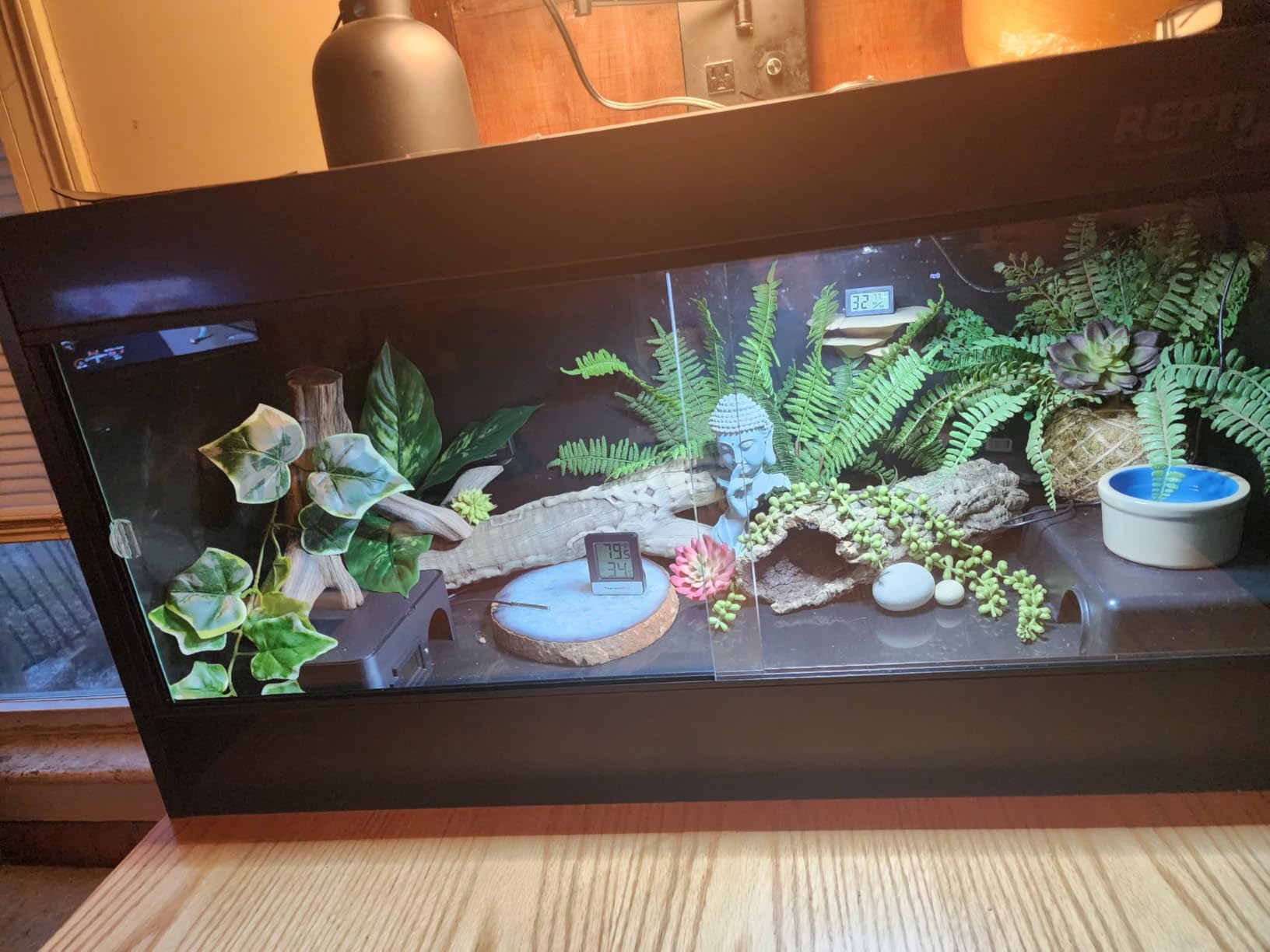 REPTI ZOO 68 Gallon PVC Reptile Terrariums, 48x18x18 Reptile Tanks Enclosure for Bearded Dragon Ball Python Snake Gecko, PVC Reptile Lounge Habitat with Glass Sliding Door & Top Screen Ventilation customer photo 2