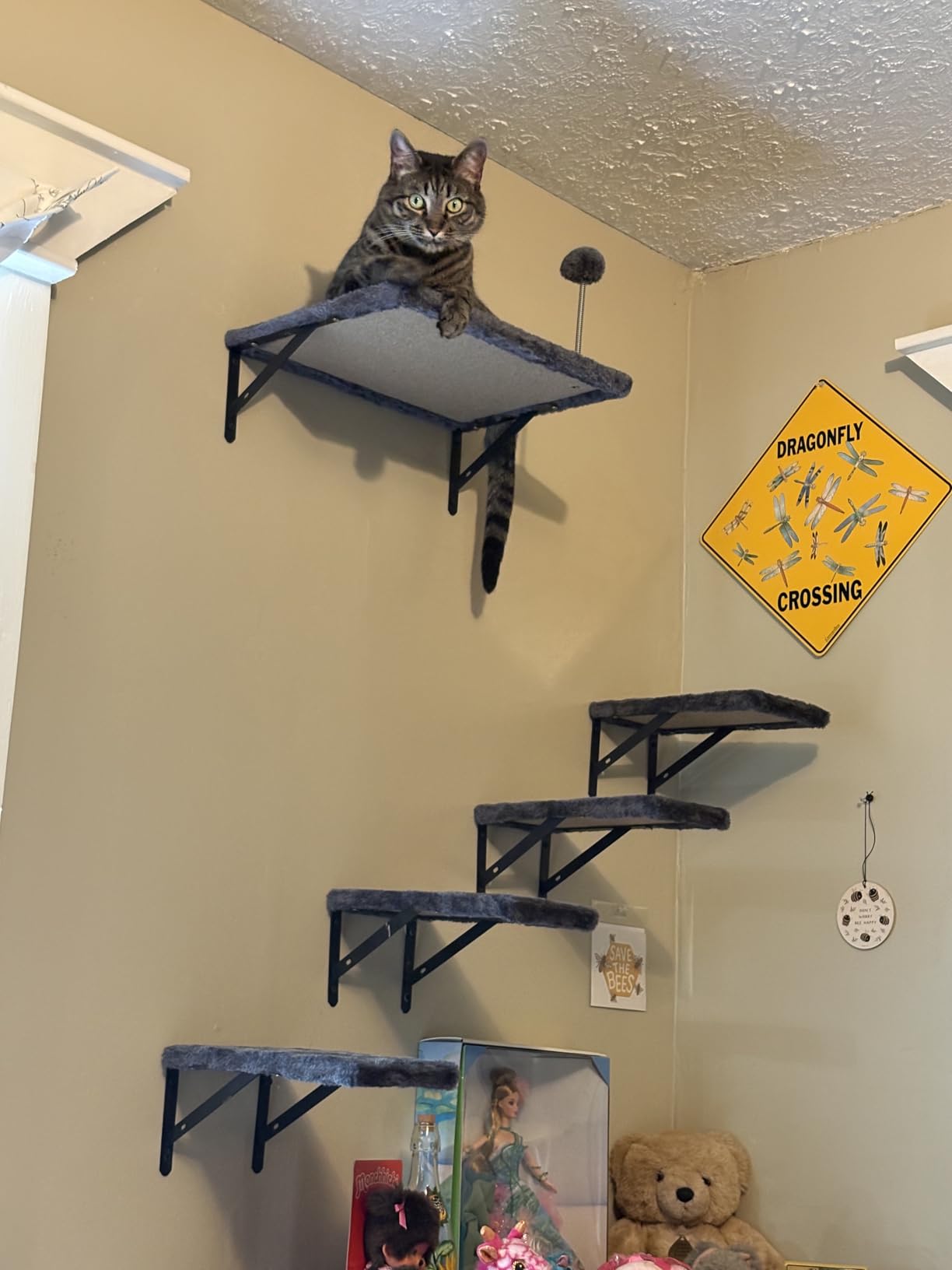 Wall-Mounted Cat Climber Set with Climbing Shelves, Perches, Bridge, Hammock, Scratching Board & Ball - 7 Pcs Wood Indoor Cat Furniture for Kittens Play (Dark Grey) customer photo 1