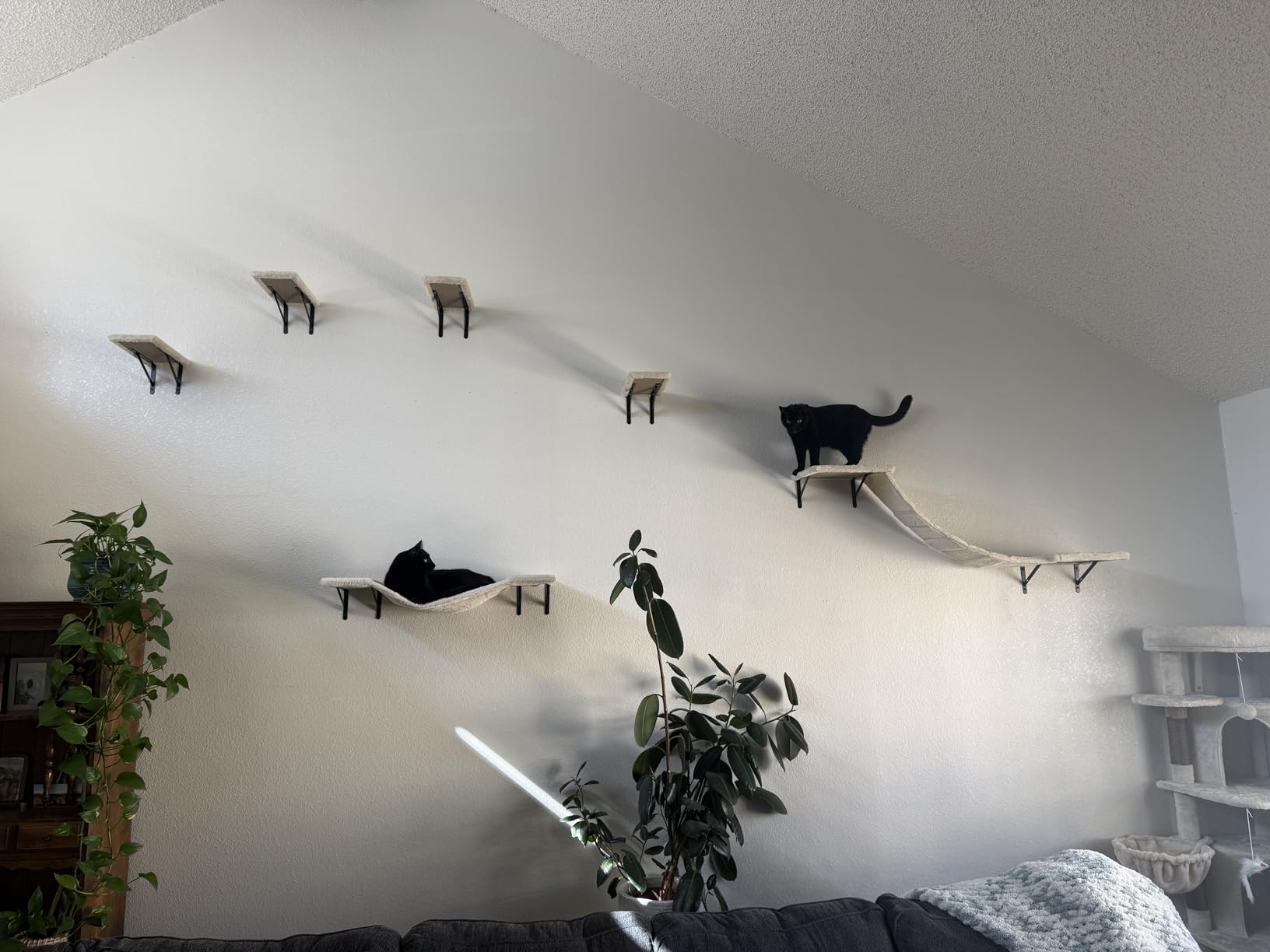 Wall-Mounted Cat Climber Set with Climbing Shelves, Perches, Bridge, Hammock, Scratching Board & Ball - 7 Pcs Wood Indoor Cat Furniture for Kittens Play (Dark Grey) customer photo 2