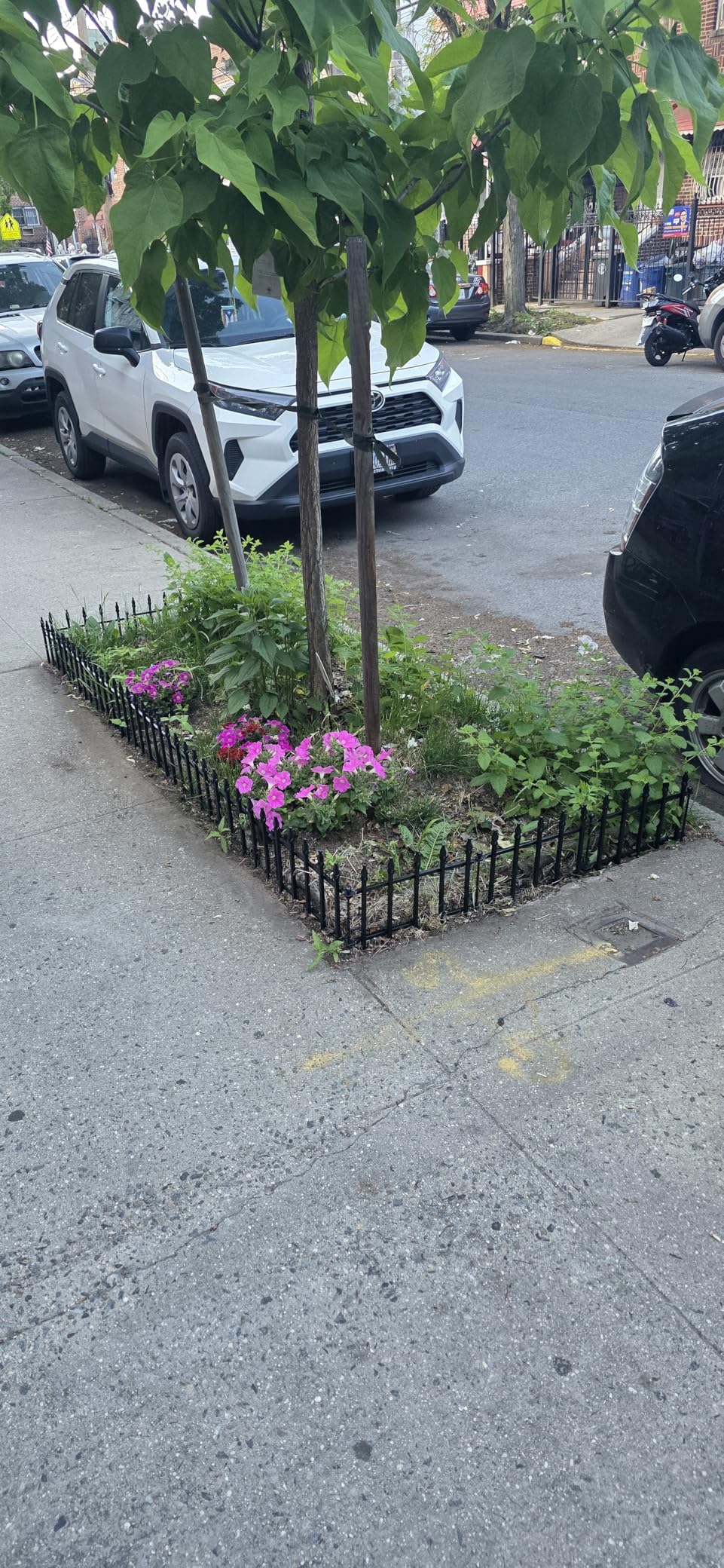 Decorative Metal Garden Fence 18