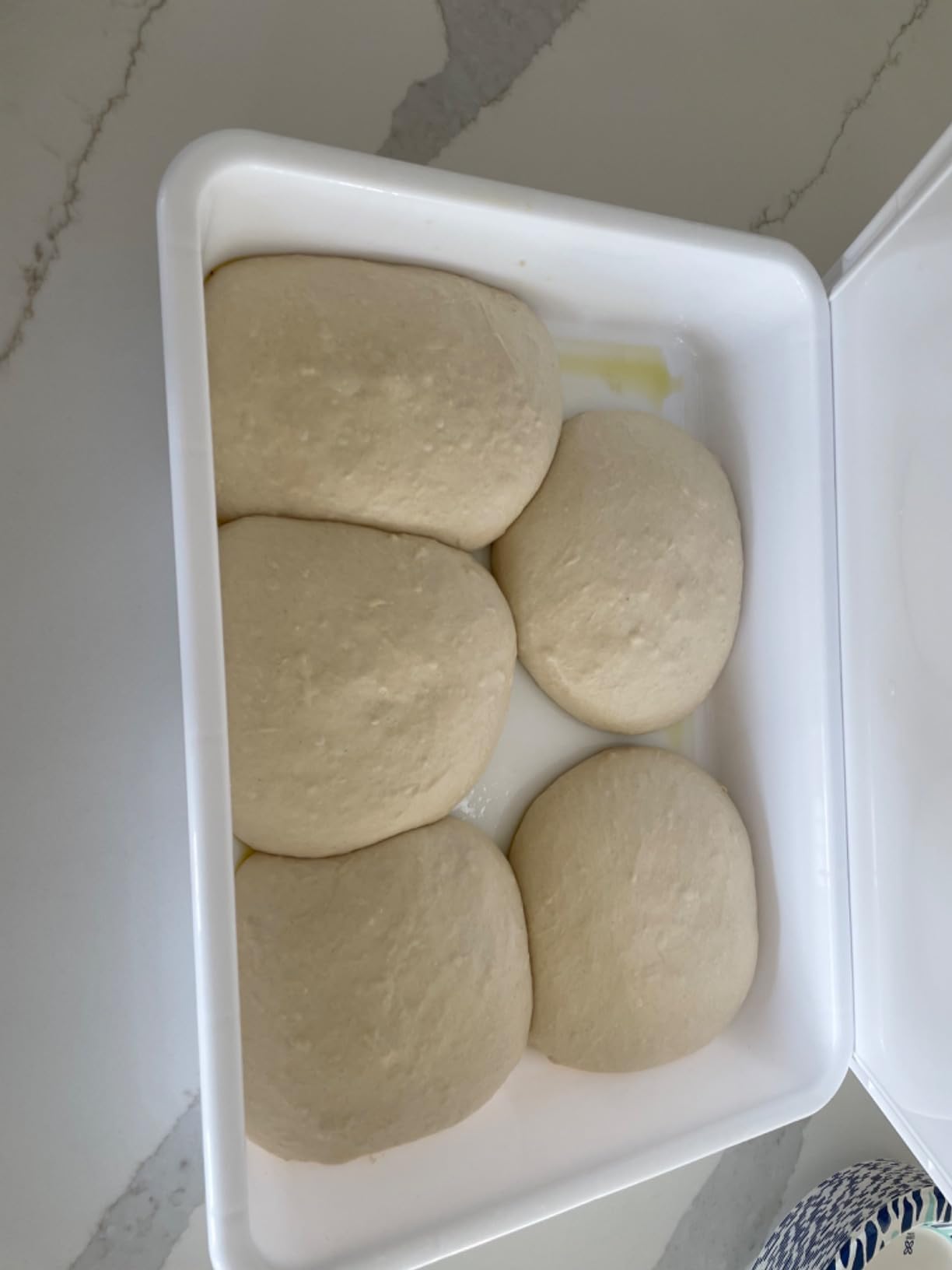 Stock Your Home Dough Proofing Container with Lid (2 Pack) Homemade Bread and Pizza Dough Storage Box for Proofing customer photo 2
