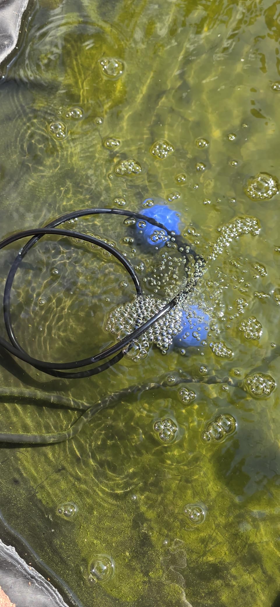 AquaMiracle Koi Pond Aerator for Pond up to 1000 & 2000 Gallons, All-in-One Pond Air Pump Aeration Kit with Air Stones Airline Tubing Check Valves customer photo 1