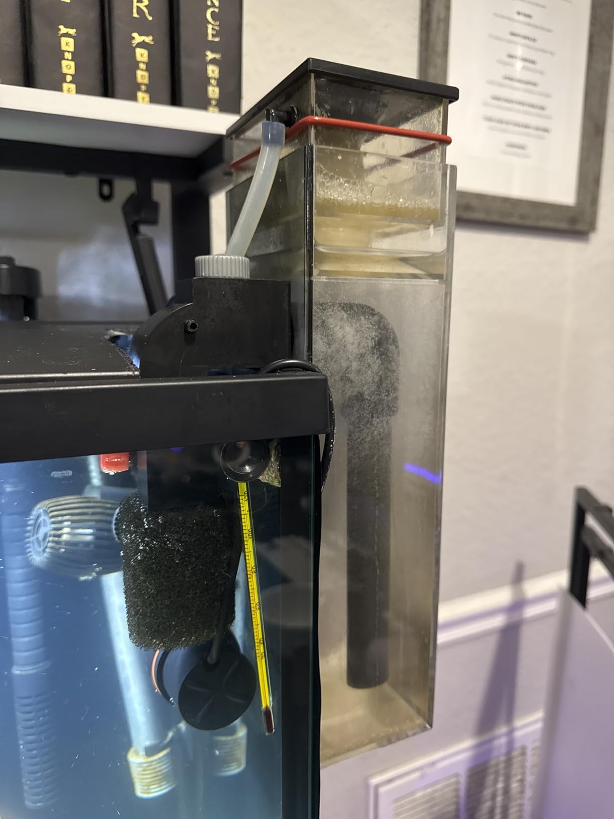 Coralife Aquarium Fish Tank Marine Salt Water DC-Controlled Variable Speed Mini Protein Skimmer, Up To 65 Gallons customer photo 2