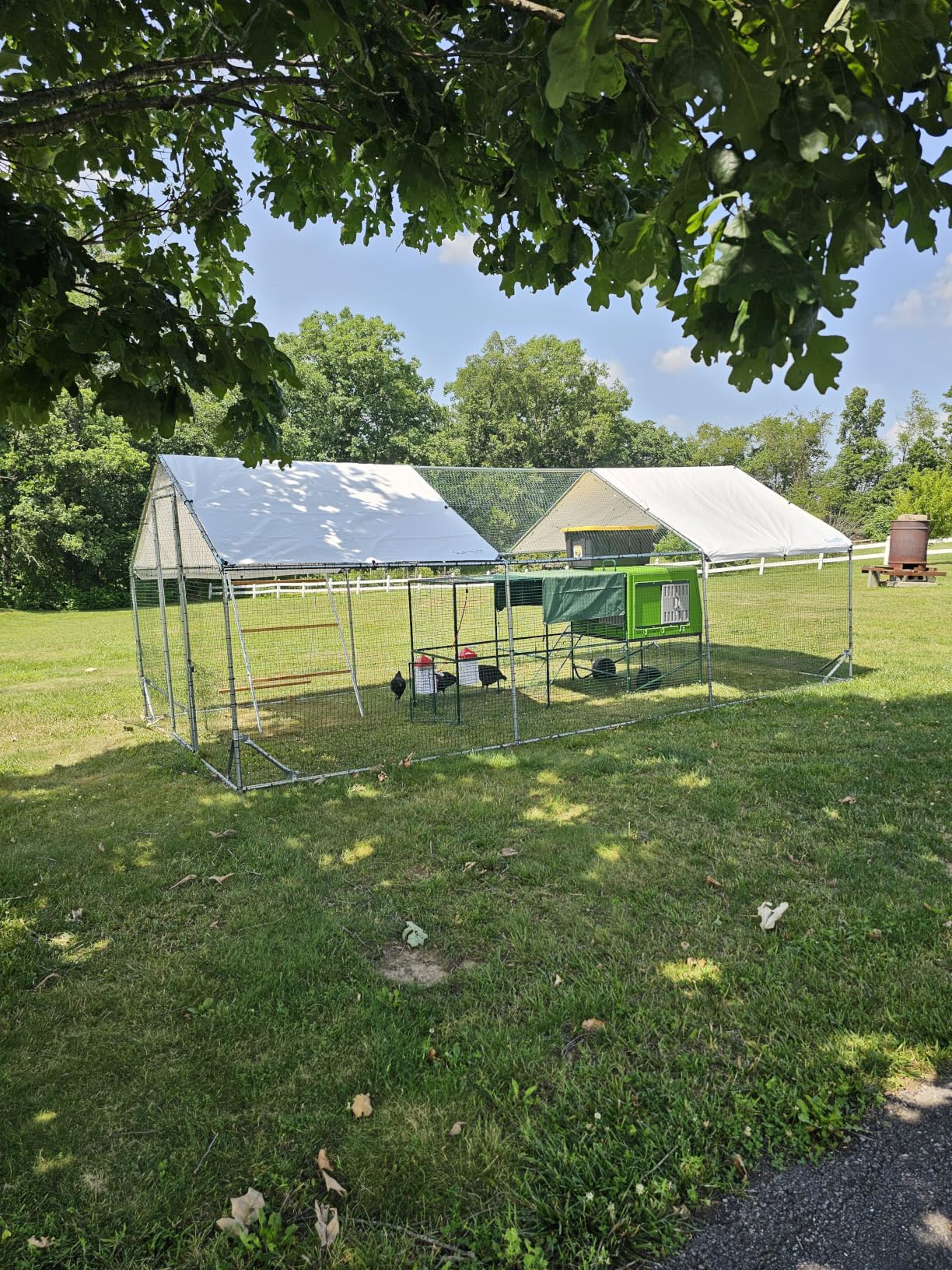 Quictent Large Metal Chicken Coop Run for 30+ Poultry with Side Hardware Cloth & Waterproof Cover, Advanced Series Outdoor Walk-in Cage Hen Duck Rabbit Dog Pen Yard Farm House, 18x9x6.6FT customer photo 1