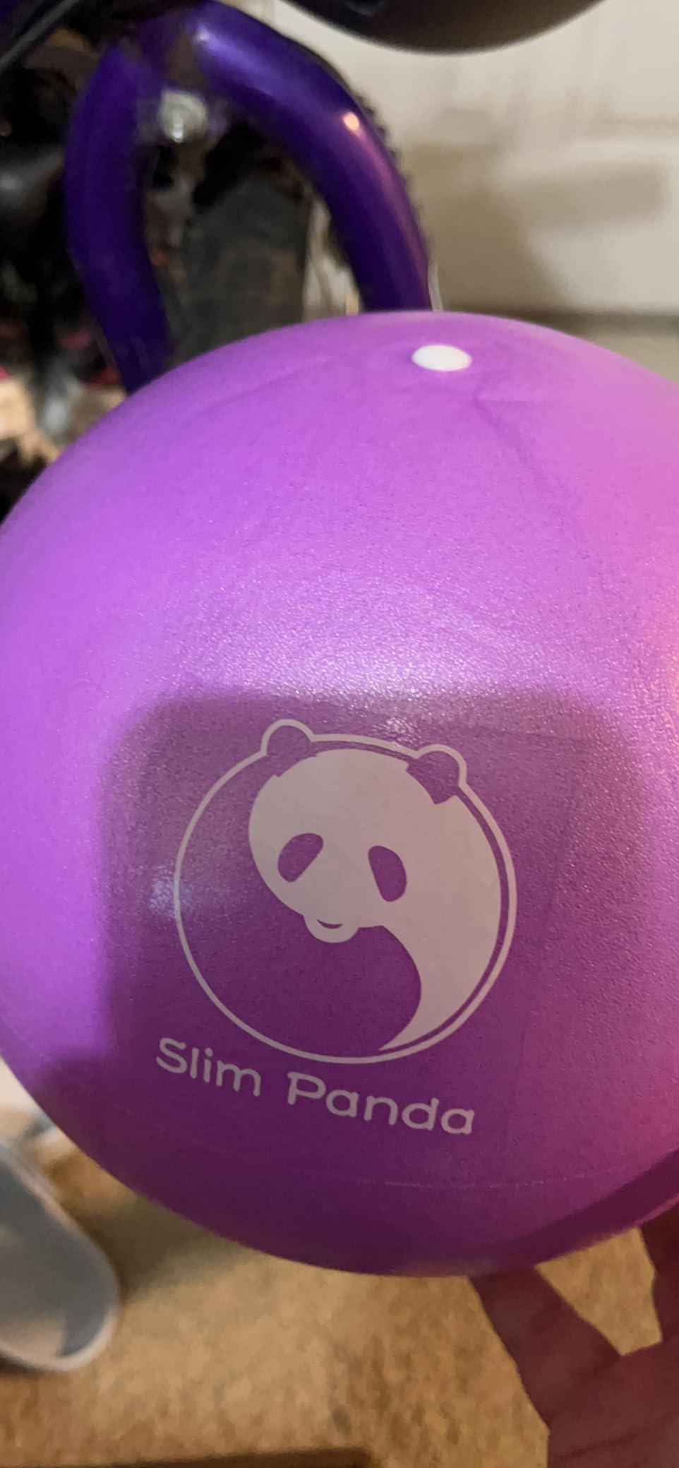 Slim Panda Pilates Ball, 9 Inch Small Exercise Ball, Anti Burst Mini Yoga Ball for Stability, Workout, Barre, Core Strength, Physical Therapy, Balance, Stretching customer photo 2