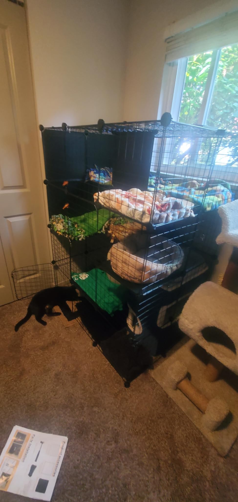 PAWING Cat Large Enclosure - DIY Catio Ideal for 1-3 Cats, Indoor & Outdoor, Detachable Metal Wire Kennel, 2x3x4 Exercise Place customer photo 1
