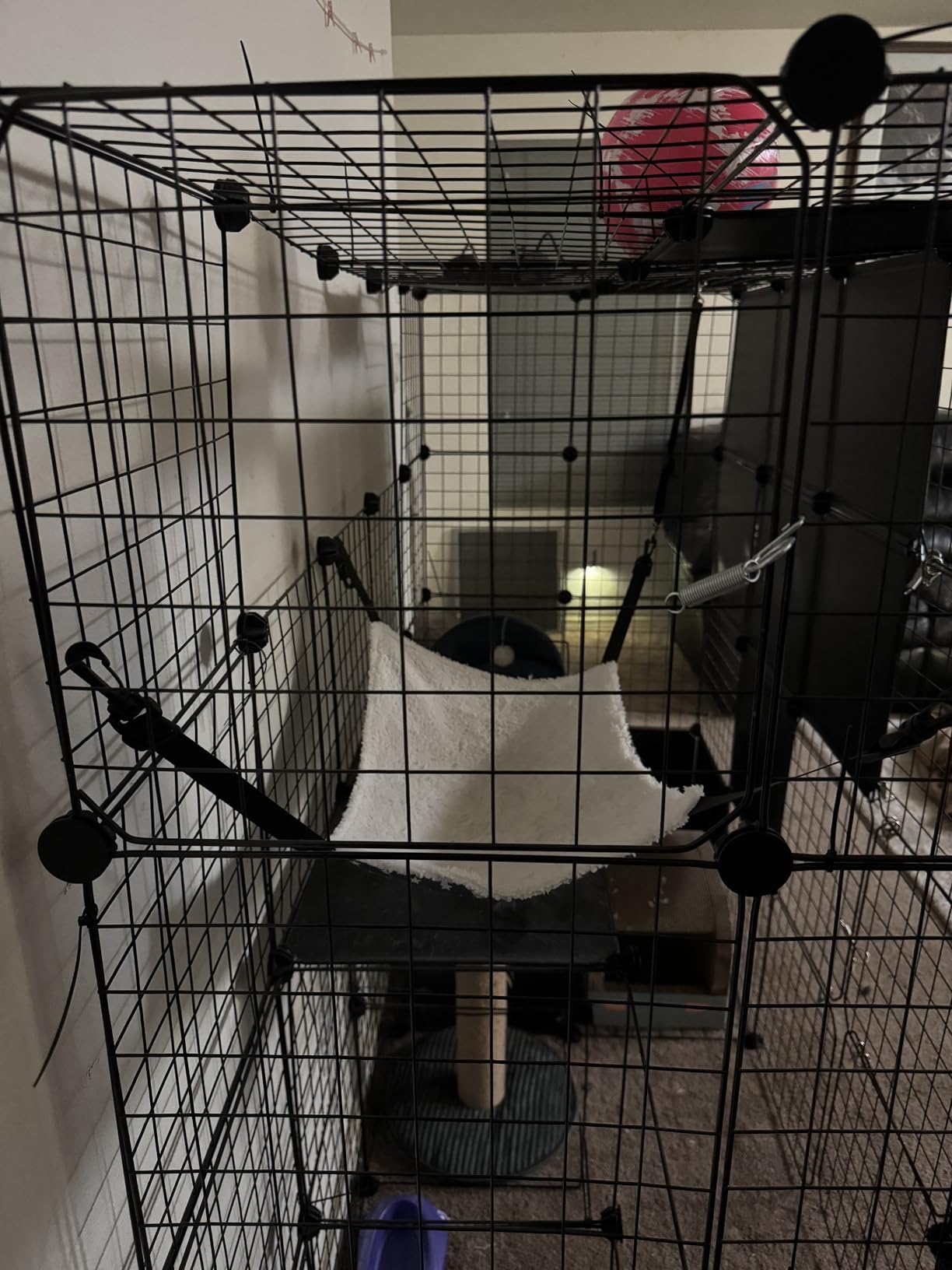PAWING Cat Large Enclosure - DIY Catio Ideal for 1-3 Cats, Indoor & Outdoor, Detachable Metal Wire Kennel, 2x3x4 Exercise Place customer photo 2