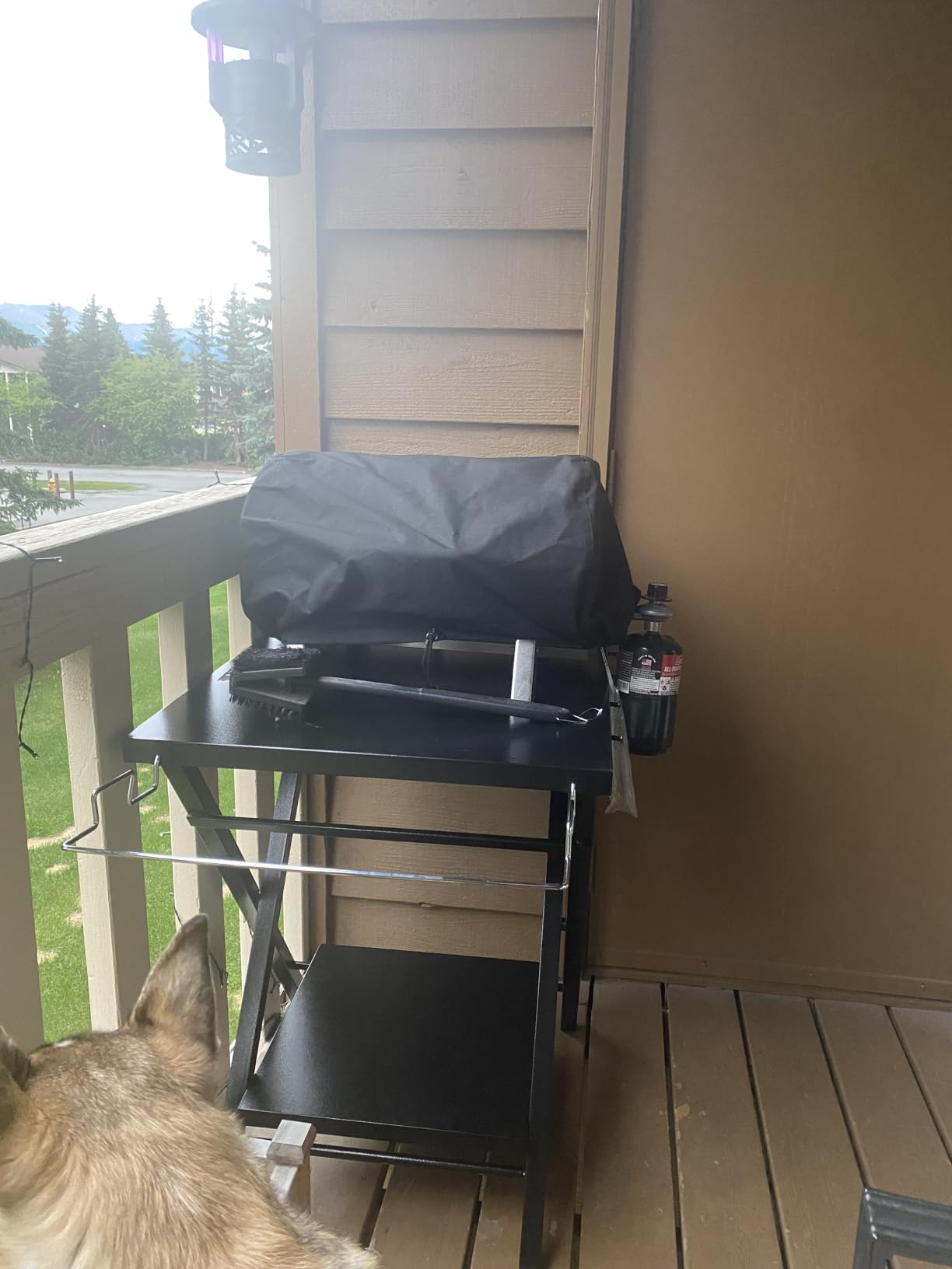 Feasto Outdoor Grill Table, Folding Prep Table, 30