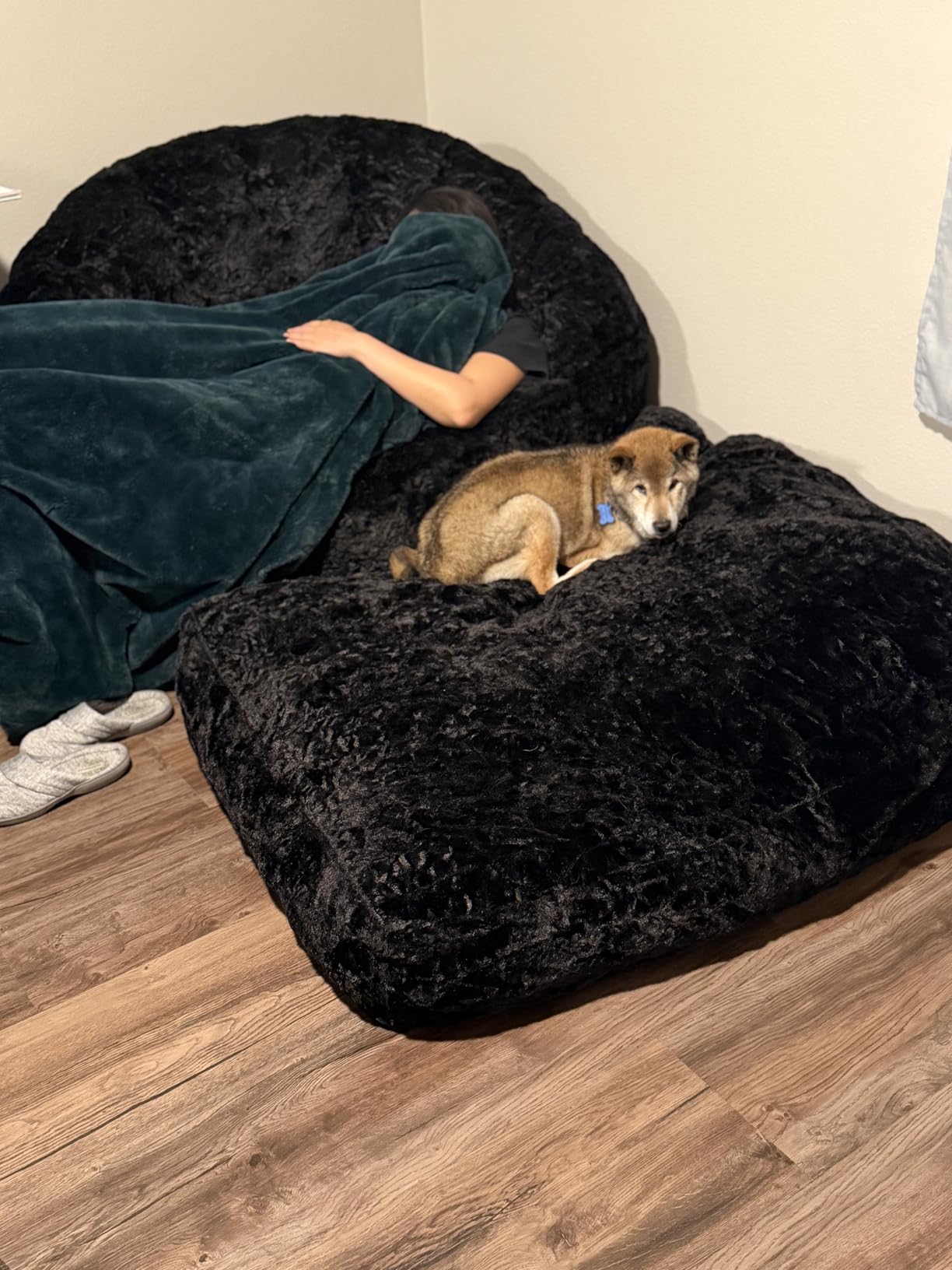 MAXYOYO Giant Bean Bag Chair, Oversized Bean Bag Couch for Adults and Kids, Faux Fur Shell-Shaped Large Chair with Filler, Stuffed Big Accent Sofa Lounge Floor Sofa for Reading, Beige, Standard customer photo 2