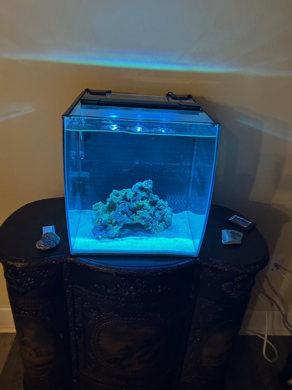 Aquatop 13.5 Gallon Bow Front Glass Aquarium Kit with Filter and LED Lighting - All in One Desktop Fish Tank, Ideal for Freshwater and Saltwater, BFK-13 customer photo 1