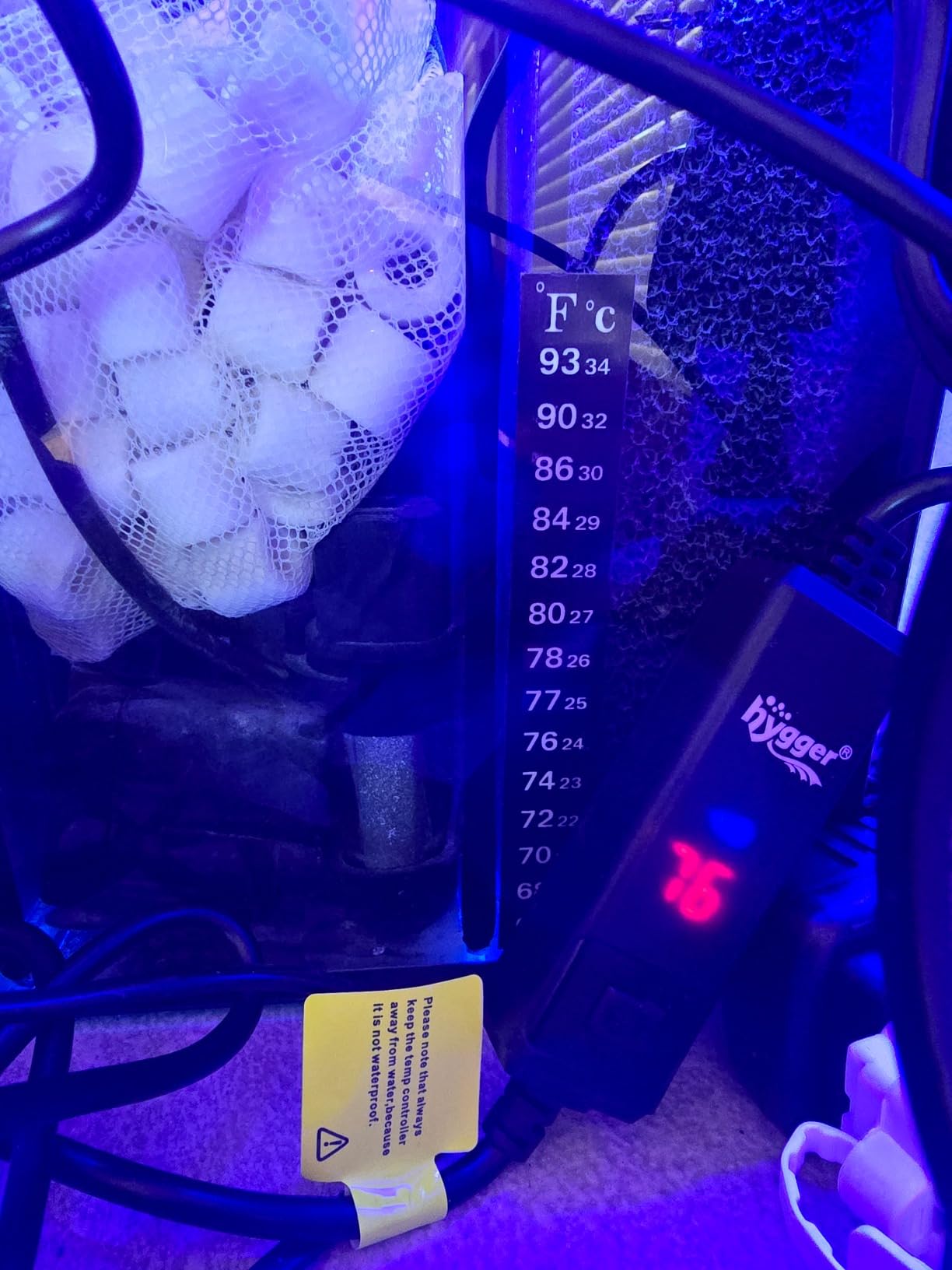 Aquatop 8.6 Gallon Bow Front Glass Aquarium Kit with Filter and LED Lighting - All in One Desktop Fish Tank, Ideal for Freshwater and Saltwater, BFK-08 customer photo 2