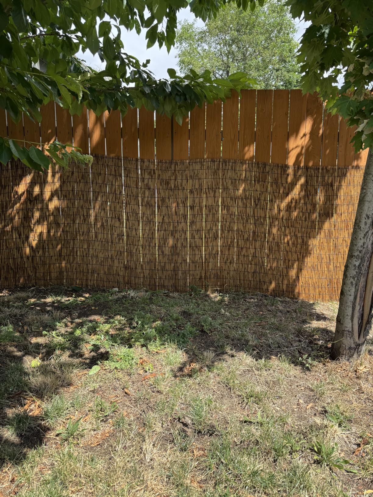 ZNCMRR Reed Fencing Rolls Natural Bamboo Fence 6 Feet High Privacy Screen Curtains Fence for Balcony Patio Garden Backyard Shades Outdoor 6FT X 16.4FT (Brown) customer photo 2