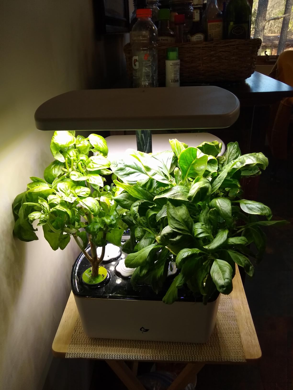 AeroGarden Harvest Lite, Cream | Soil-free Indoor Hydroponic Garden with LED Grow Light for Year-Round Gardening of up to 6 Herbs and Vegetables customer photo 2