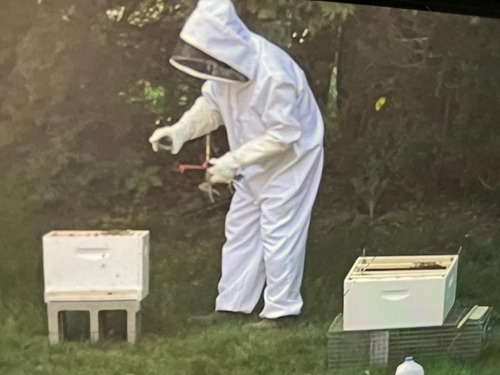 30 Pcs Beekeeping Starter Kit Bees Keeper Starting Kit All Bee Suit Gloves Hive Boxes Storage Bag Beekeeper Supplies Tools for Beekeepers Men Women(XXL) customer photo 1