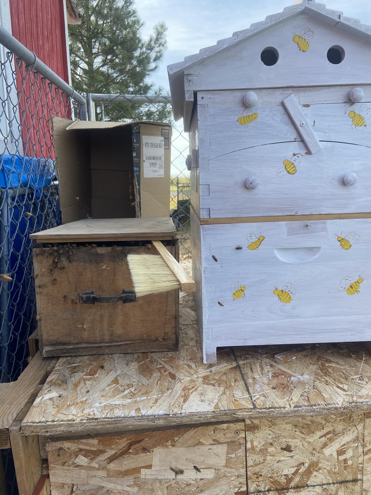 30 Pcs Beekeeping Starter Kit Bees Keeper Starting Kit All Bee Suit Gloves Hive Boxes Storage Bag Beekeeper Supplies Tools for Beekeepers Men Women(XXL) customer photo 2