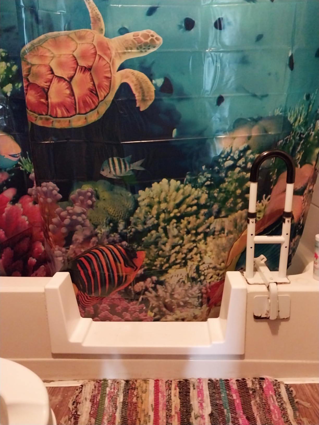 Walk-Thru Insert Accessibility Kit - Bath to Shower Conversion, White (Xtra-Deep) customer photo 1