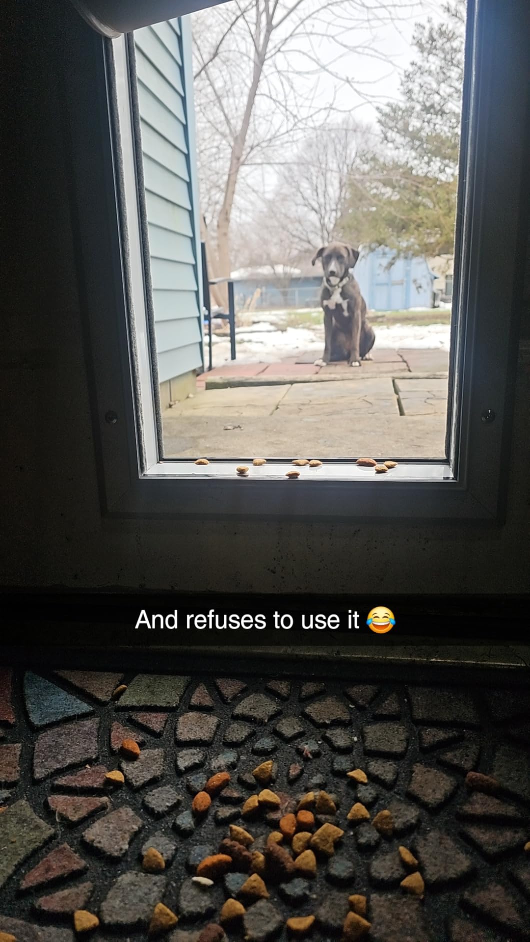 [Petoasis] 3-Flaps Heavy-Duty Dog Door, Rust Proof Aluminum Alloy Frame | Energy-Efficient, Thick Flaps Block Wind Snow Rain Intrusion in Extreme Weather (Silvery White, Large for Door) customer photo 2