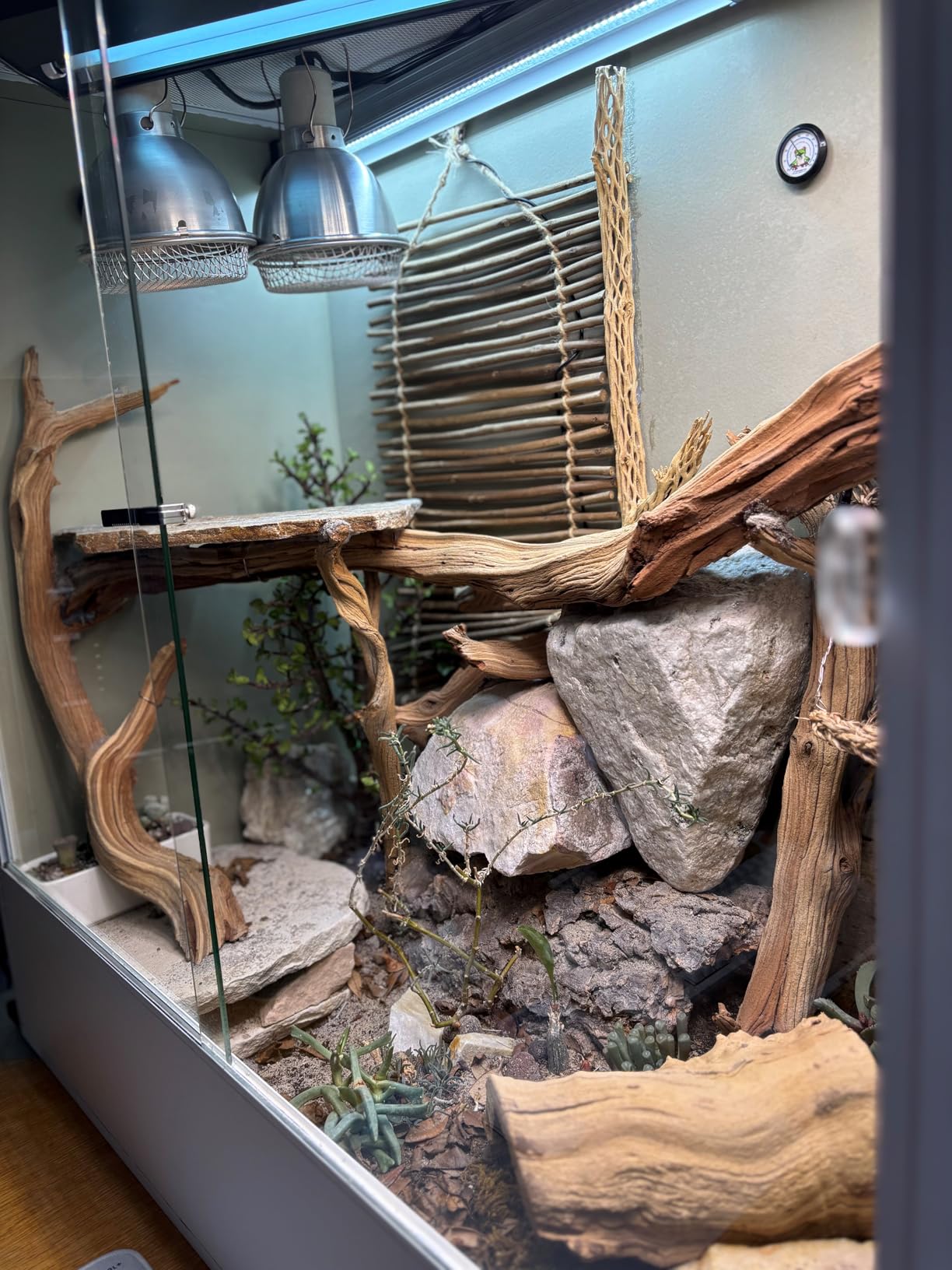 REPTI ZOO 30 Gallon PVC Tall Reptile Tank, 18x18x24 Reptile Terrarium for Frog Lizard Gecko Chameleon Snake, Tropical Rainforest Habitat Enclosure with Sliding Door & Top Screen Ventilation customer photo 2