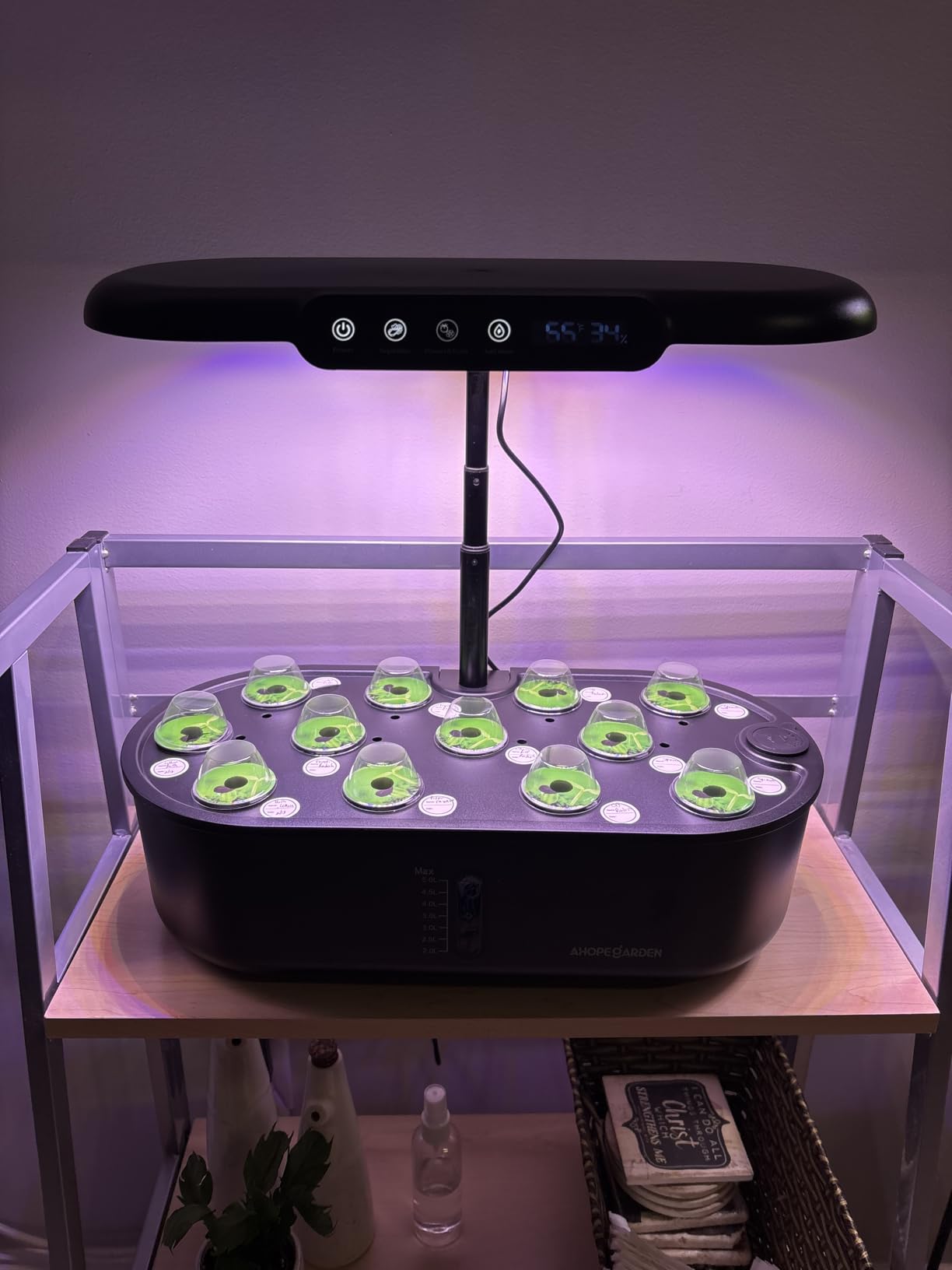 Ahopegarden Hydroponics Growing System kit: 12 Pods Indoor Herb Garden with Smart Environmental Detection - Full Spectrum LED Grow Light for Growing Vegetables，Herbs and Lettuce - Home Gardening customer photo 1
