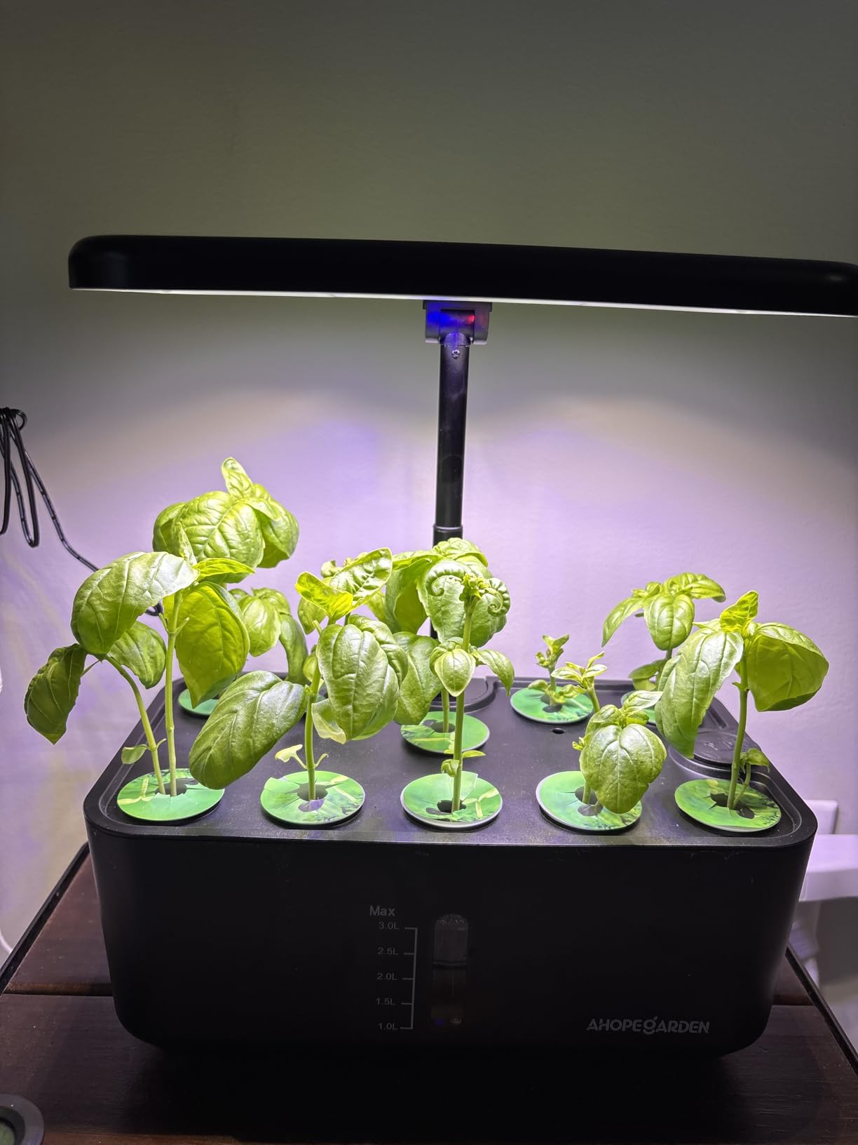 Ahopegarden Hydroponics Growing System kit: 12 Pods Indoor Herb Garden with Smart Environmental Detection - Full Spectrum LED Grow Light for Growing Vegetables，Herbs and Lettuce - Home Gardening customer photo 2