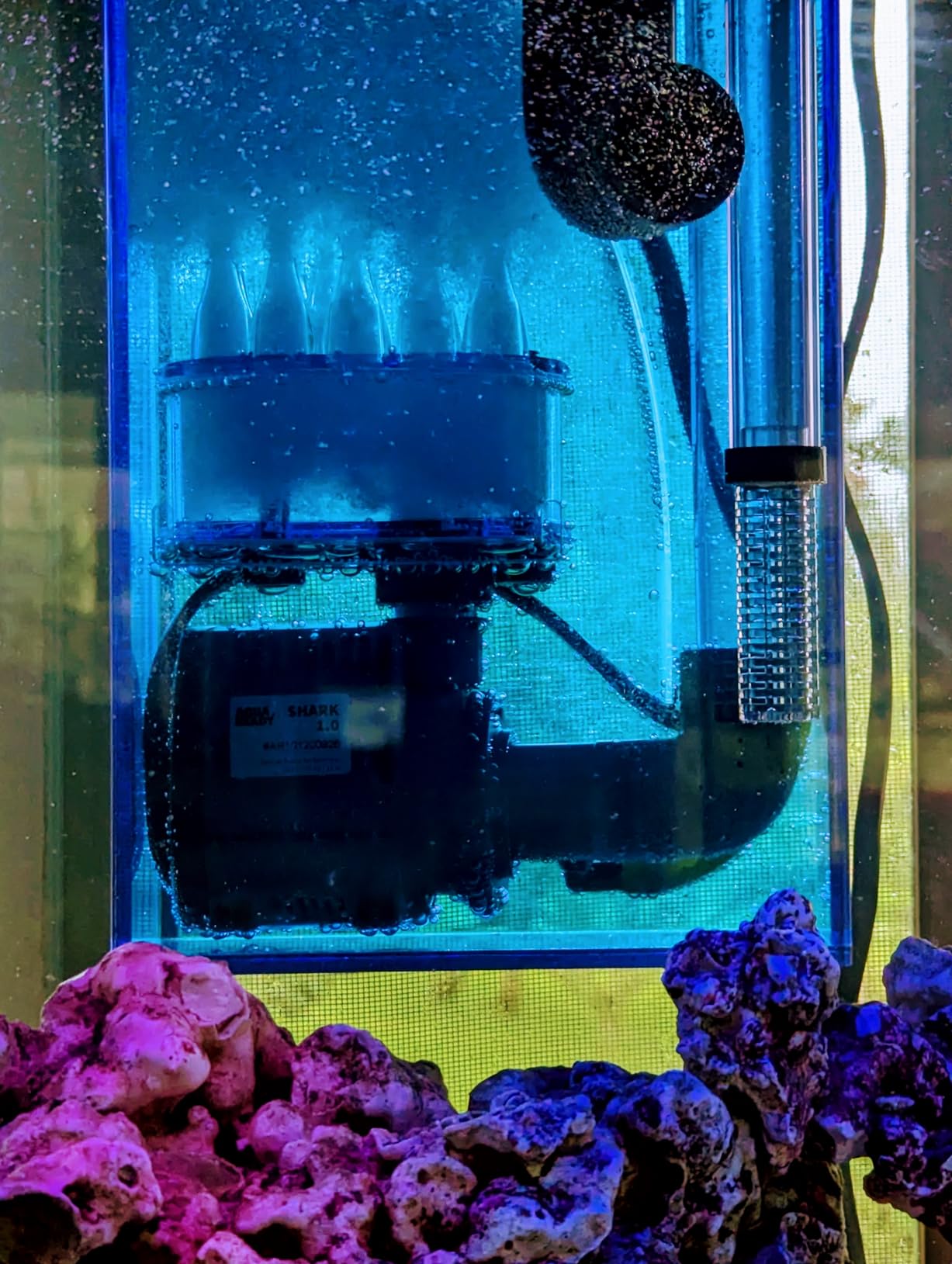 AquaReady Hang On Back Protein Skimmer for Saltwater Aquariums HOB-1.5, Up to 75 Gallon Fish Tank Filtration, Hang On External, Adjustable, Ultra Quiet Pinwheel Pump customer photo 1
