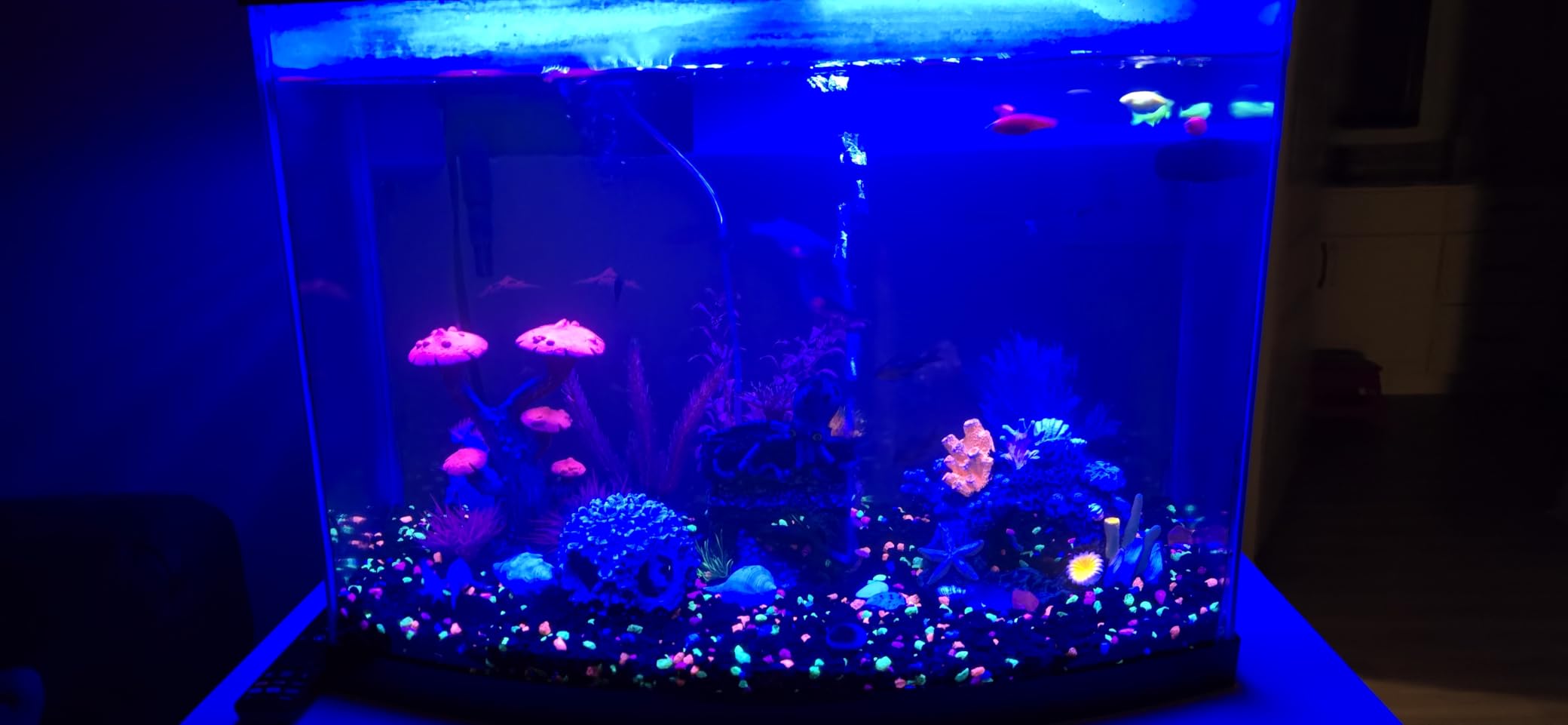 AQQA LED Aquarium Light, 24/7 Mode IP68 Waterproof Extendable Bracket Fish Tank Light, DIY Mode Full Spectrum Aquarium Plant Light, Adjustable Timer/Brightness Memory Function for 18-24 Inch Fish Tank customer photo 1