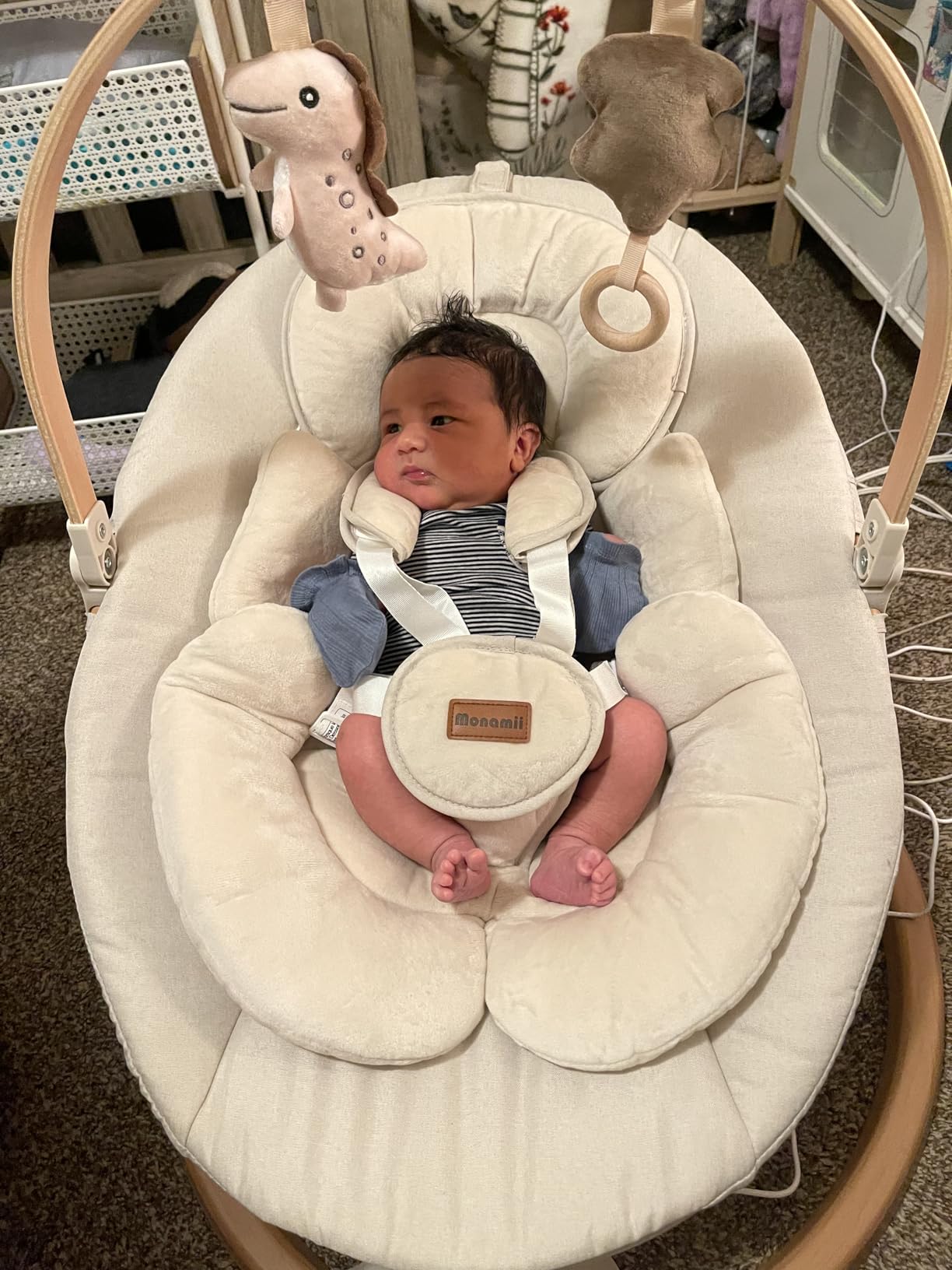 Monamii Baby Swings for Infants, Bluetooth Infant Swing with Music Speaker | Baby Swing with 5 Speeds, Remote Control, IMD Touch Panel, 3 Timer Settings, for Indoor & Outdoor Use customer photo 1