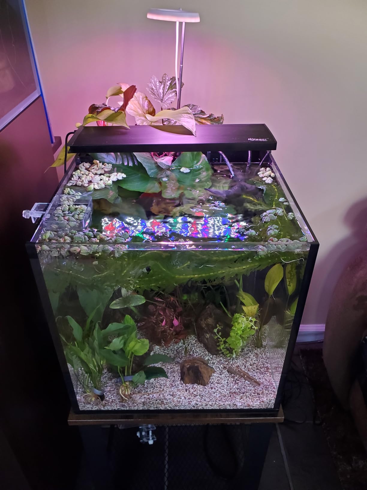 Innovative Marine Starter Kit Aquariums (20 Gallon Long) customer photo 1