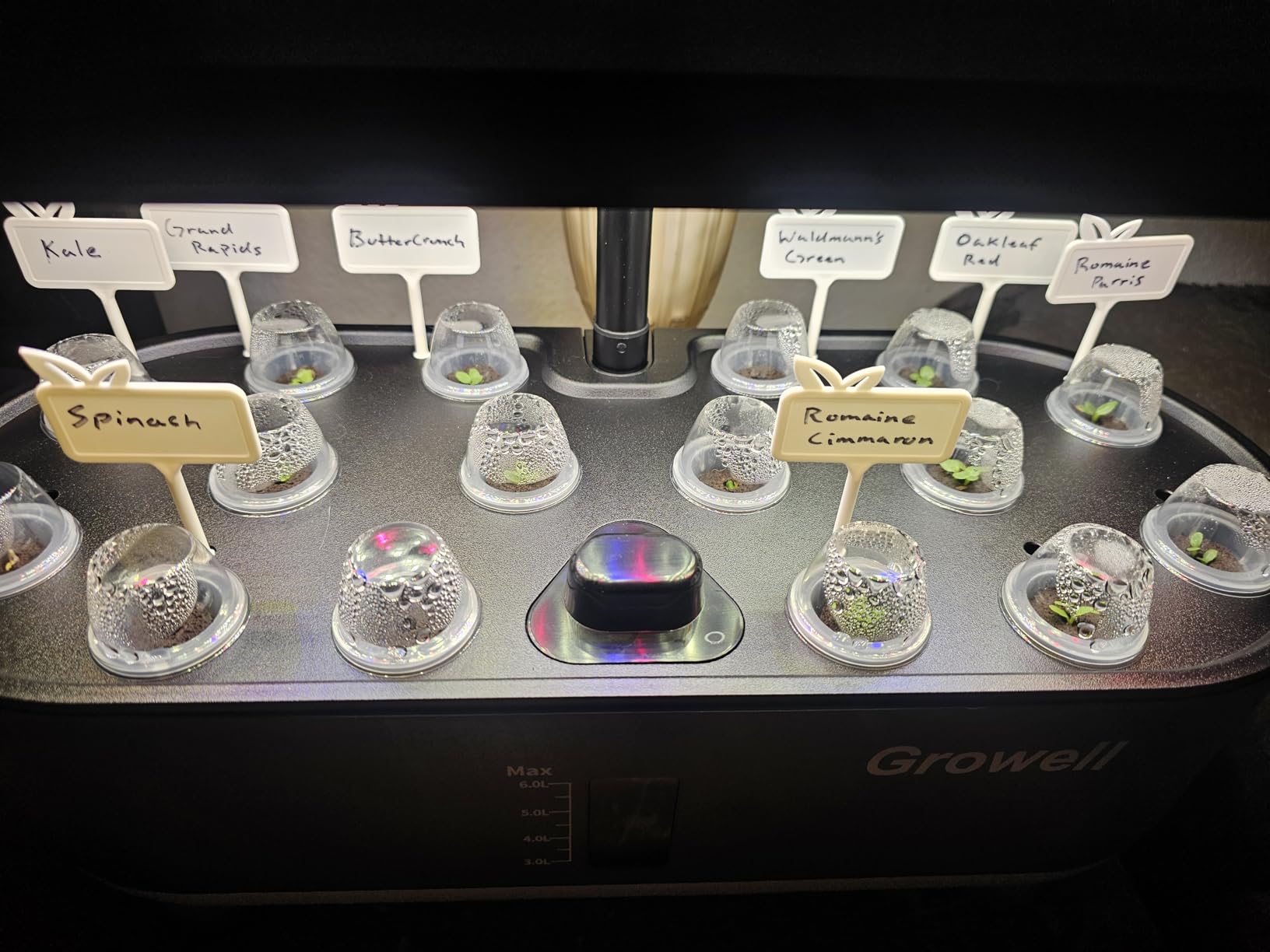 Growell Hydroponics Growing System Kit, 16 Pods Indoor Garden with 28W Full Spectrum LED Grow Light, Auto Timer, 3 Smart Light Modes, 8L Large Herb Garden, Ideal Gardening Gift for Women, Men (Black) customer photo 1