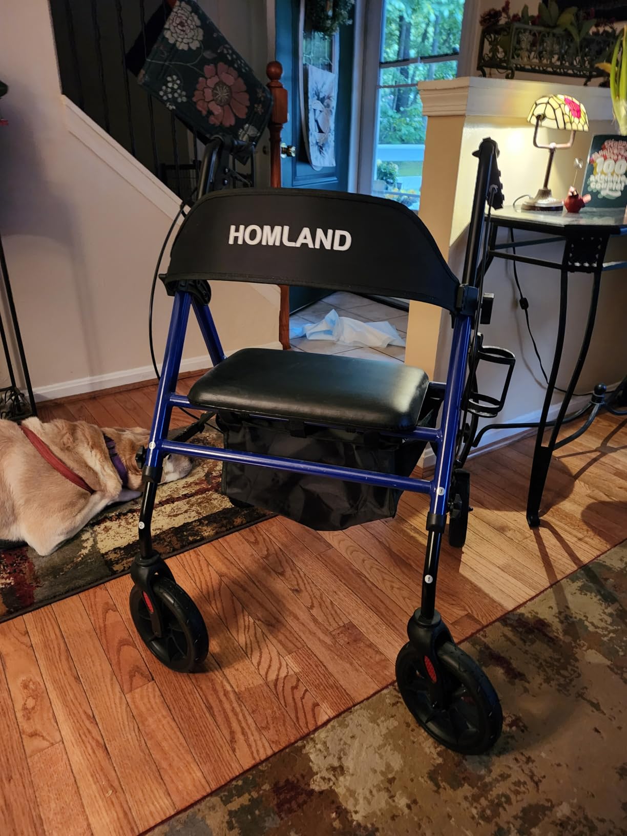 HOMLAND Foldable Rollator Walkers for Seniors with Seat, 17 lb Lightweight | 8