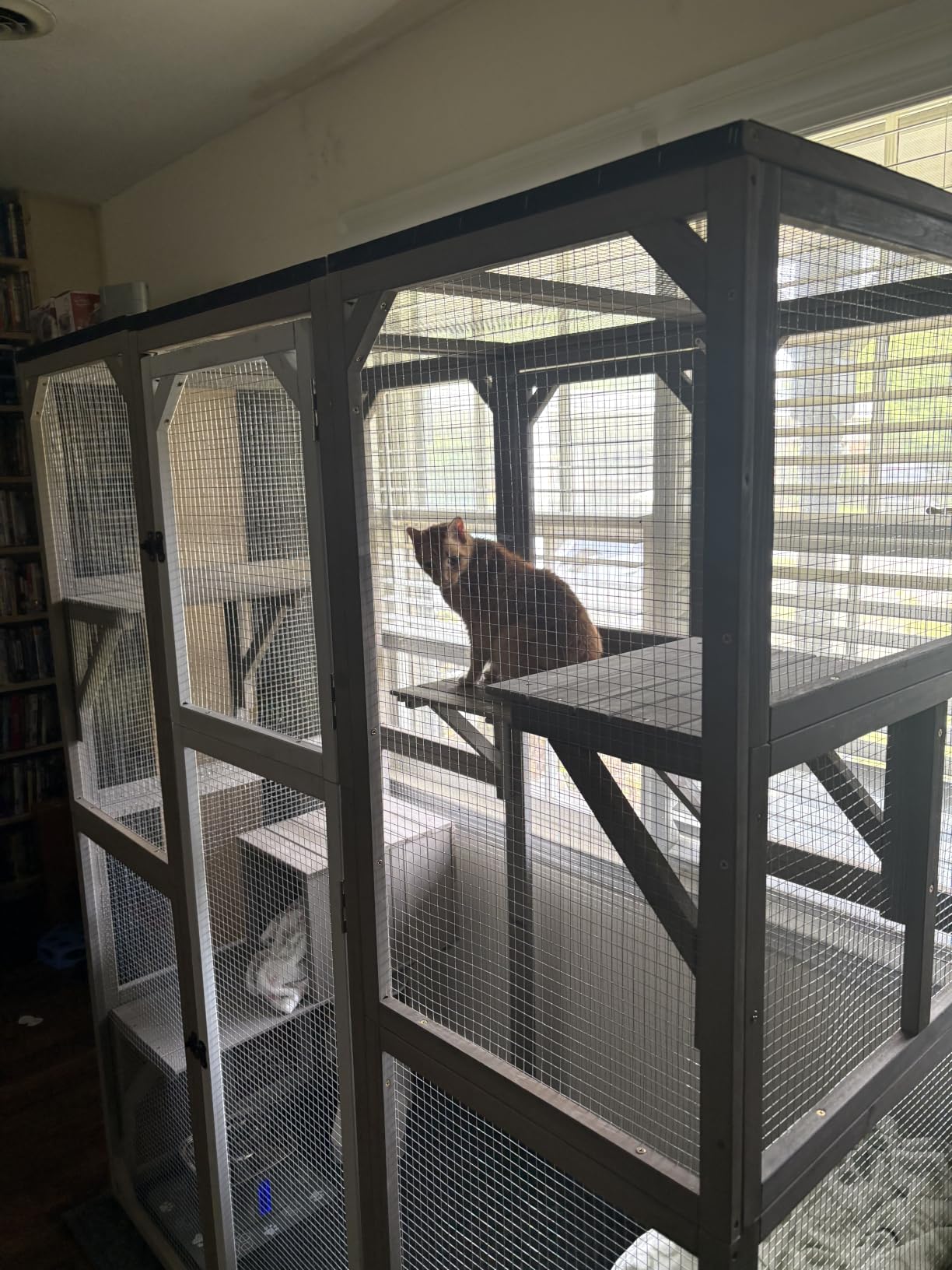 Ketive Catio Outdoor Cat Enclosure Large Window Cat House Walk in Kitty Cage with Multi-Level Platforms, Waterproof Roof for Mulitiple Cats (59