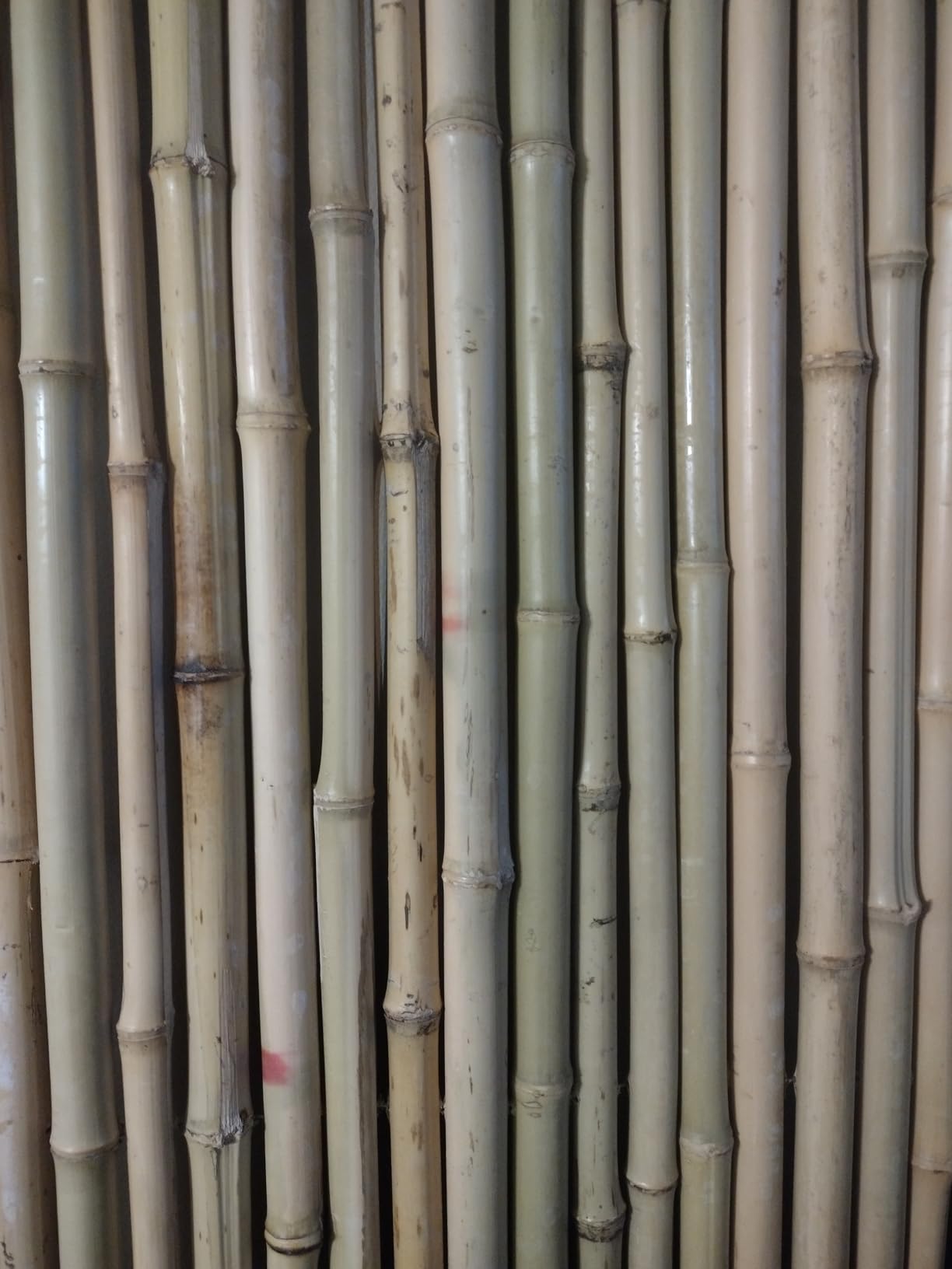 VEVOR Natural Rolled Bamboo Fence, Eco-Friendly Privacy Screen - 6 ft H x 8 ft L x 0.75 in D, Decorative for Garden, Backyard, Balcony, Patio, Pool Side customer photo 1