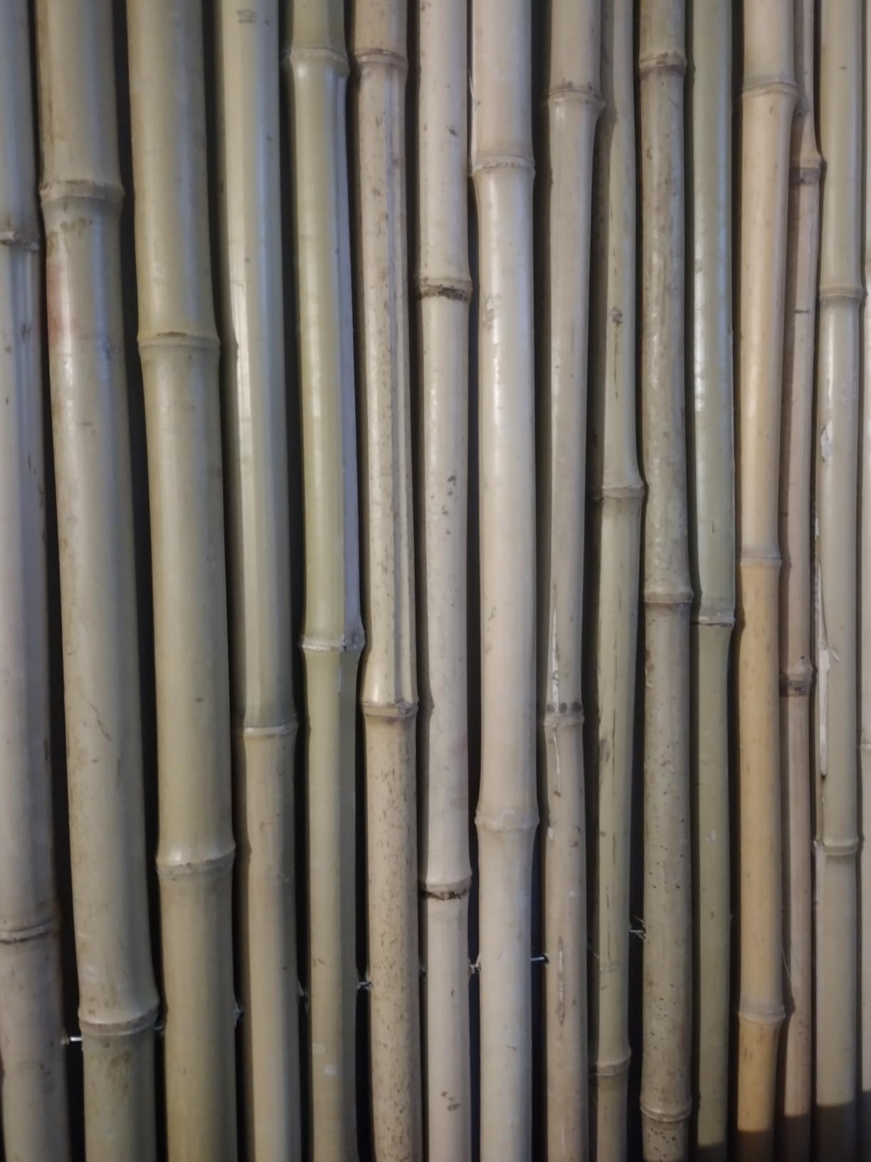 VEVOR Natural Rolled Bamboo Fence, Eco-Friendly Privacy Screen - 6 ft H x 8 ft L x 0.75 in D, Decorative for Garden, Backyard, Balcony, Patio, Pool Side customer photo 2