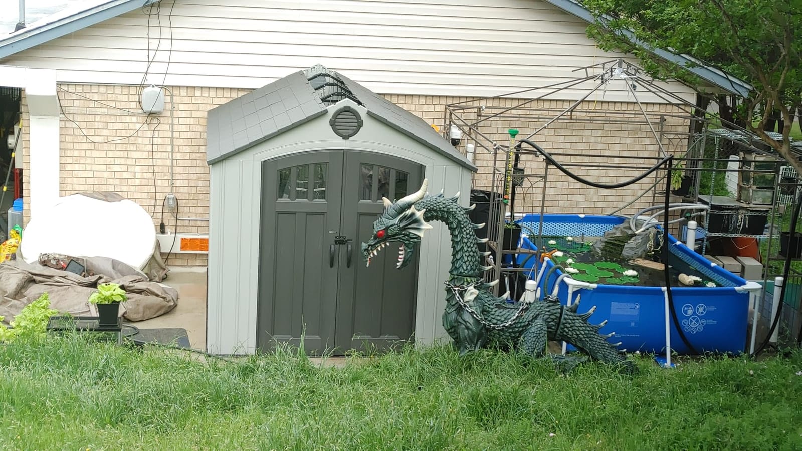 Lifetime Outdoor Storage Shed, 8x10 Ft, Gray, Resin Tool Shed with Lockable Doors and Steel-Reinforced Walls customer photo 2