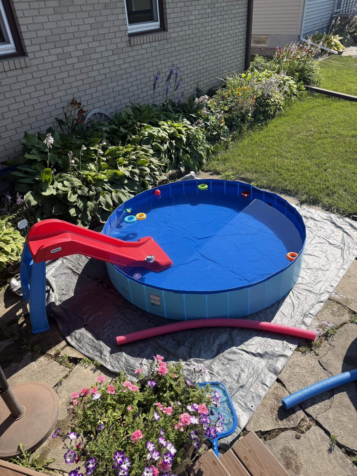 SLOOSH Foldable Dog Kiddie Pool - Portable Hard Plastic Doggie Swimming Pool, Anti-Slip Collapsible Pets Bath Tub Suitable for Kids Indoor Outdoor Backyard Use (Blue, 48